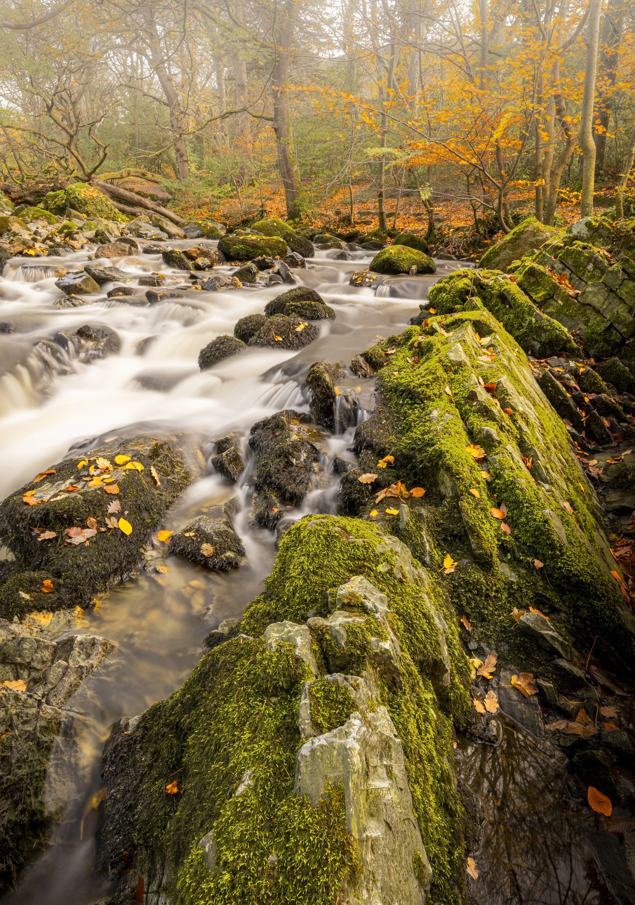 Northern Ireland - Nov 2025 (33).JPG