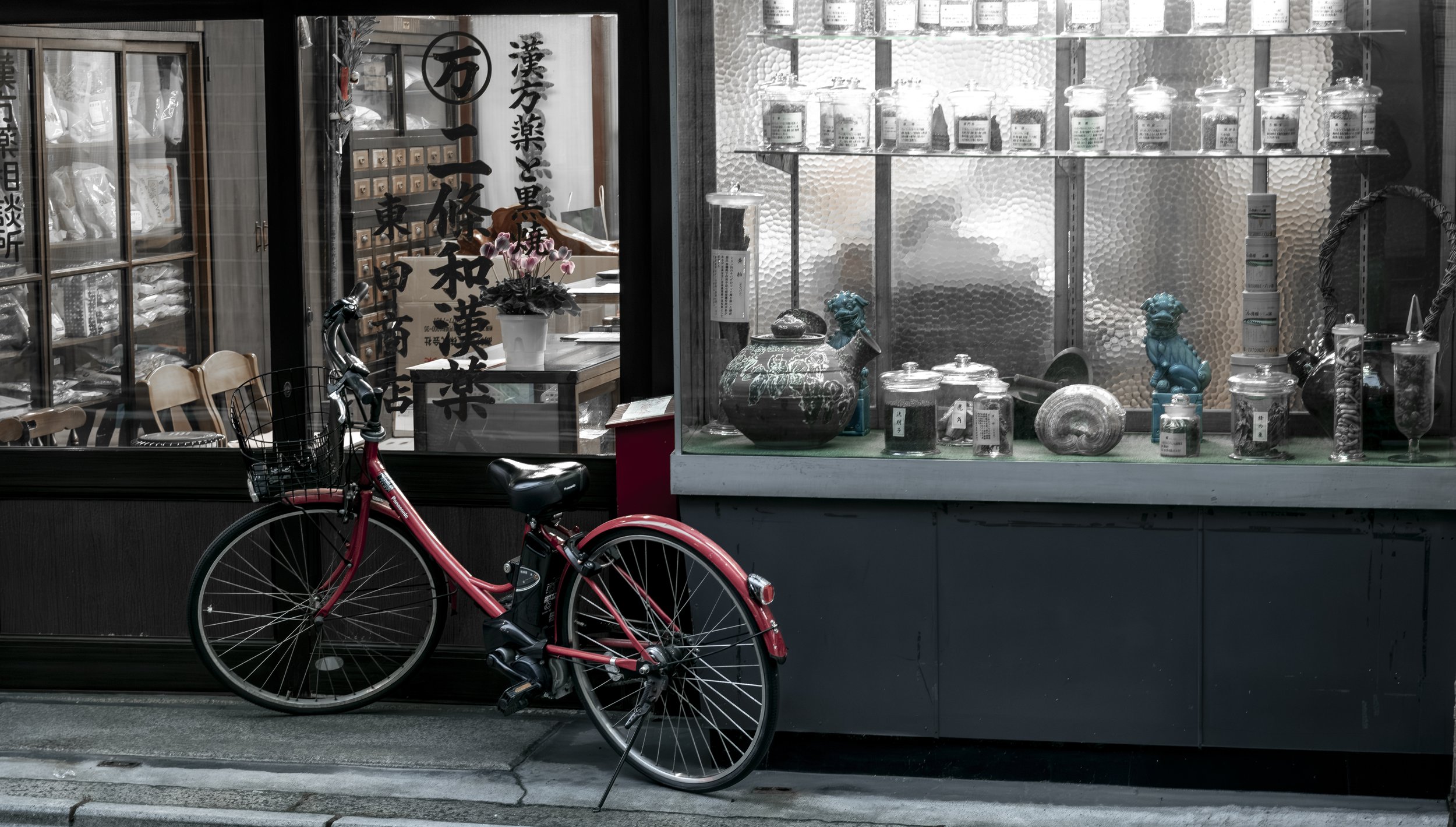 Japan 2020 (1581)-Edit.JPG