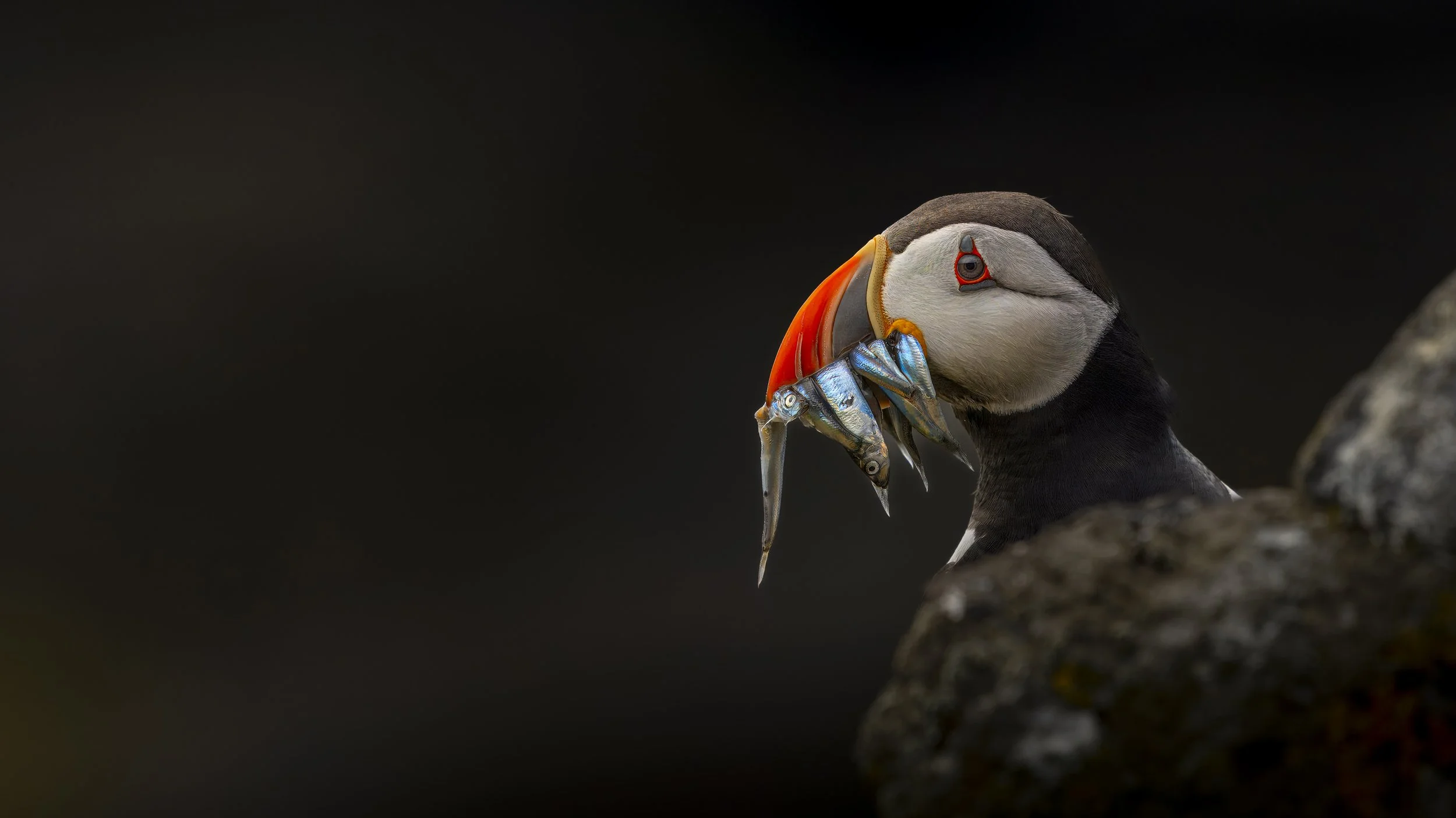 GB Coast 25 (4681).JPG