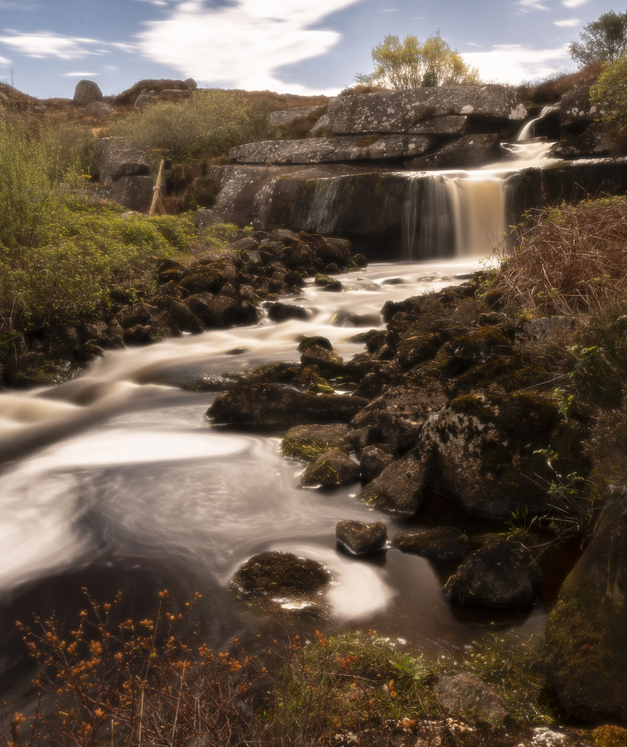 Ireland - Apr 2026 (568)-Edit.JPG