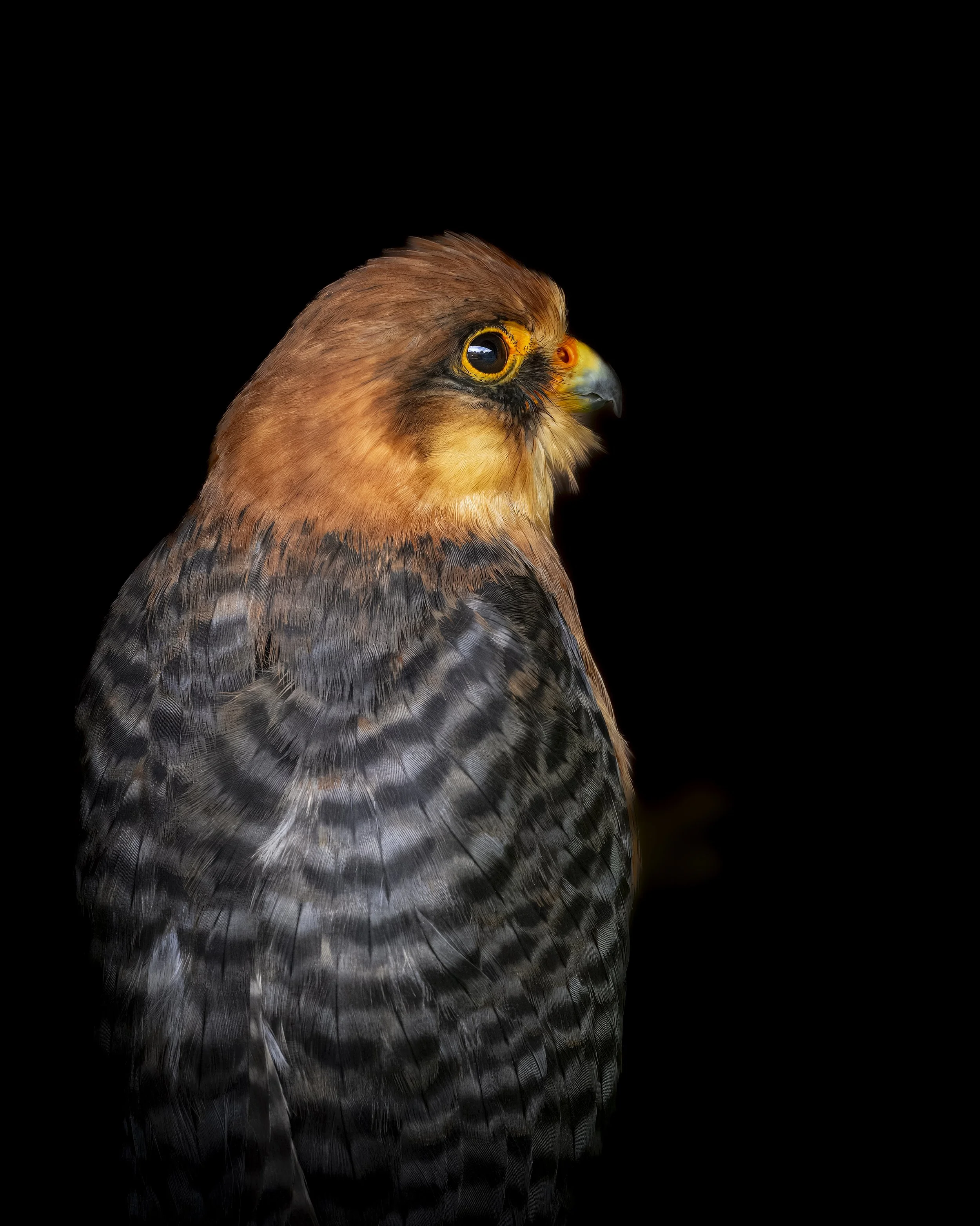 GB Coast 25 (4961).JPG