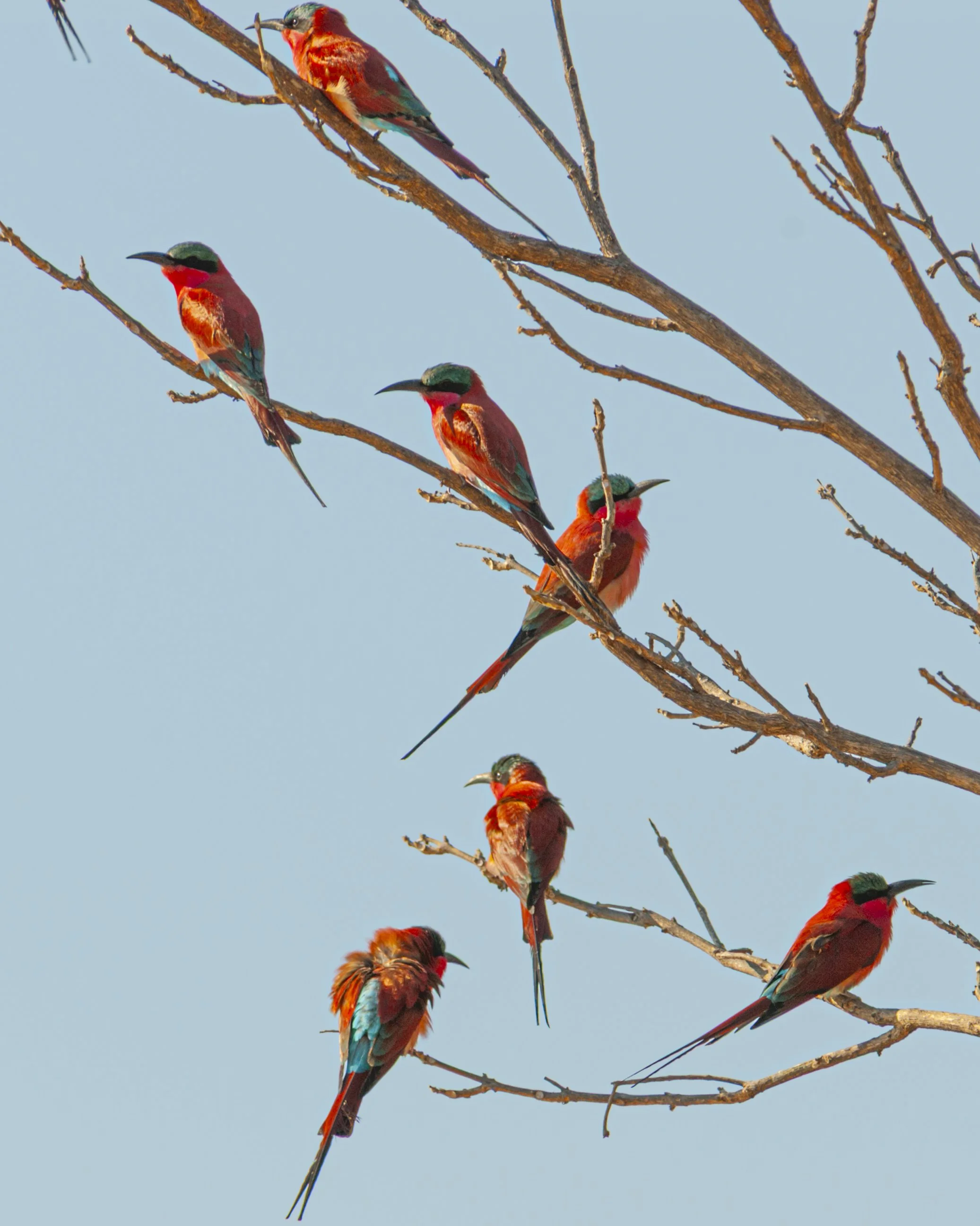 Zambia 2009 (96)-2.JPG