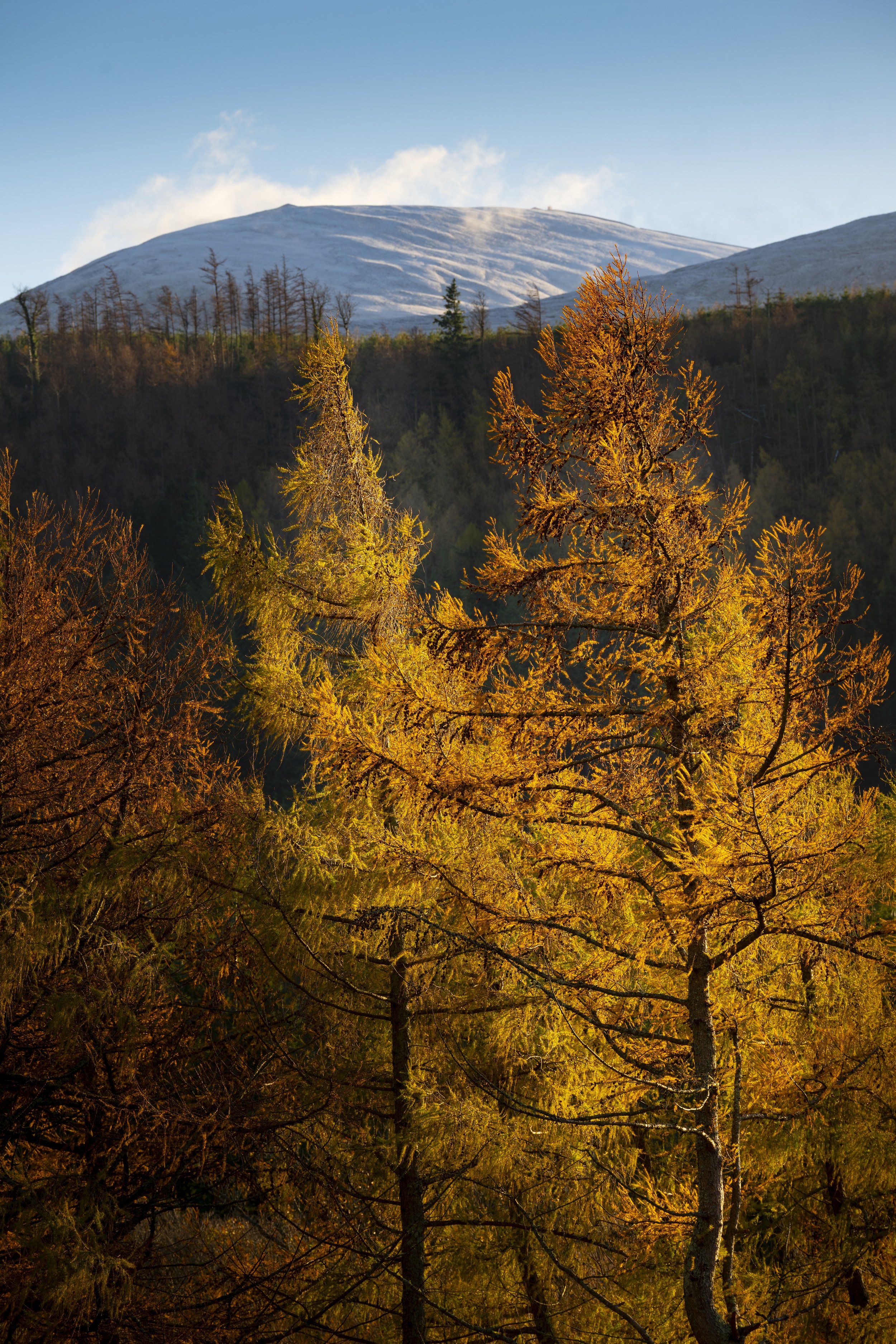 Northern Ireland - Nov 2025 (311).JPG