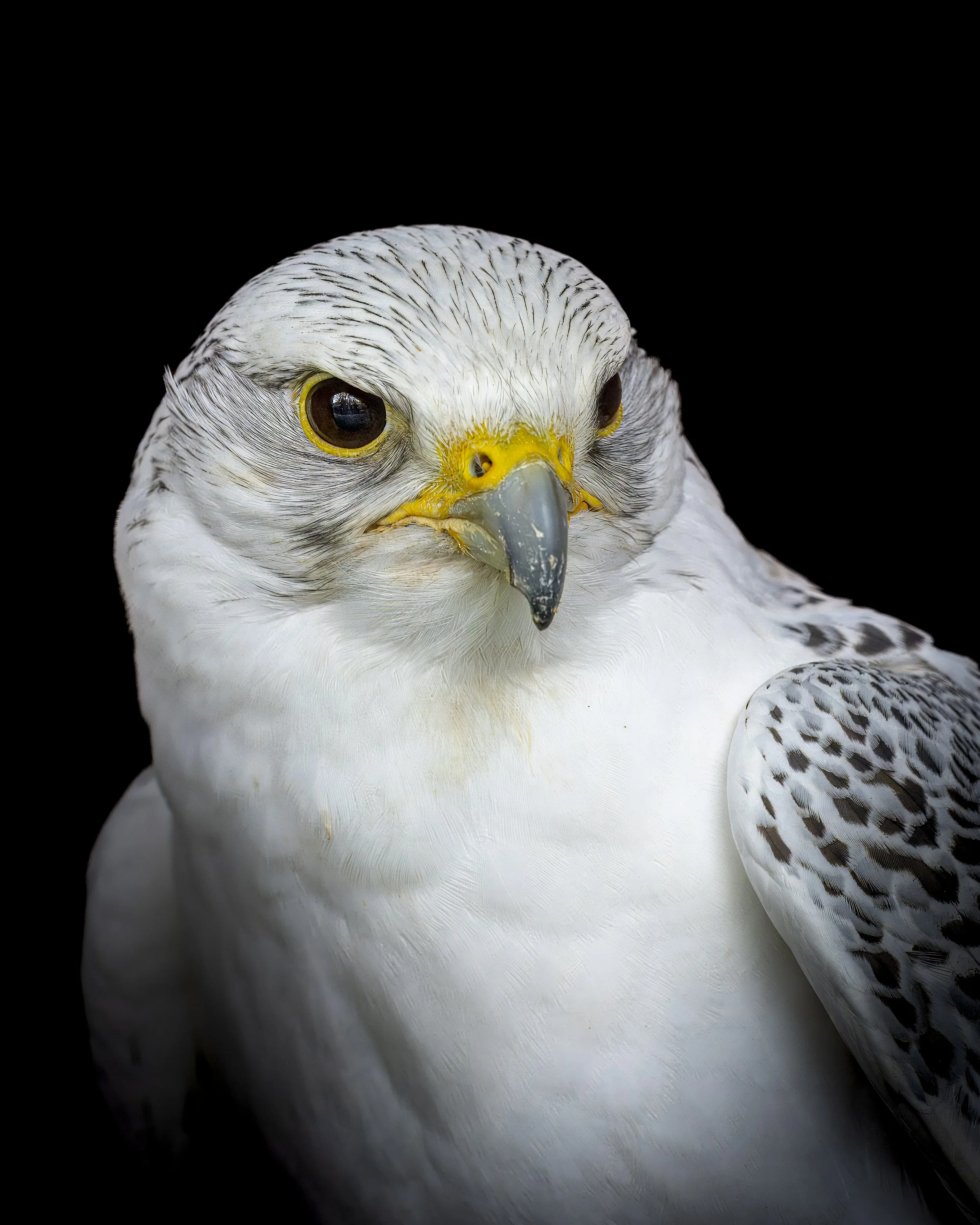 GB Coast 25 (4988).JPG