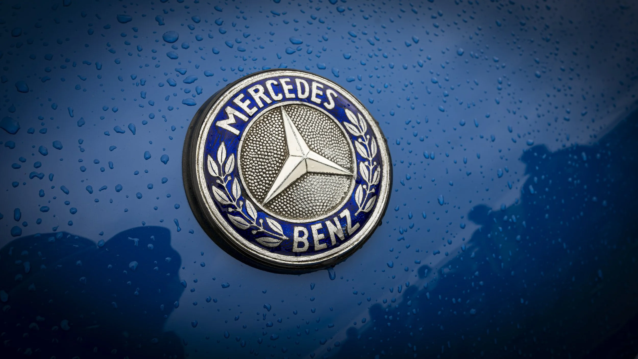 G-Wood 2024 (206)-Enhanced-NR.JPG