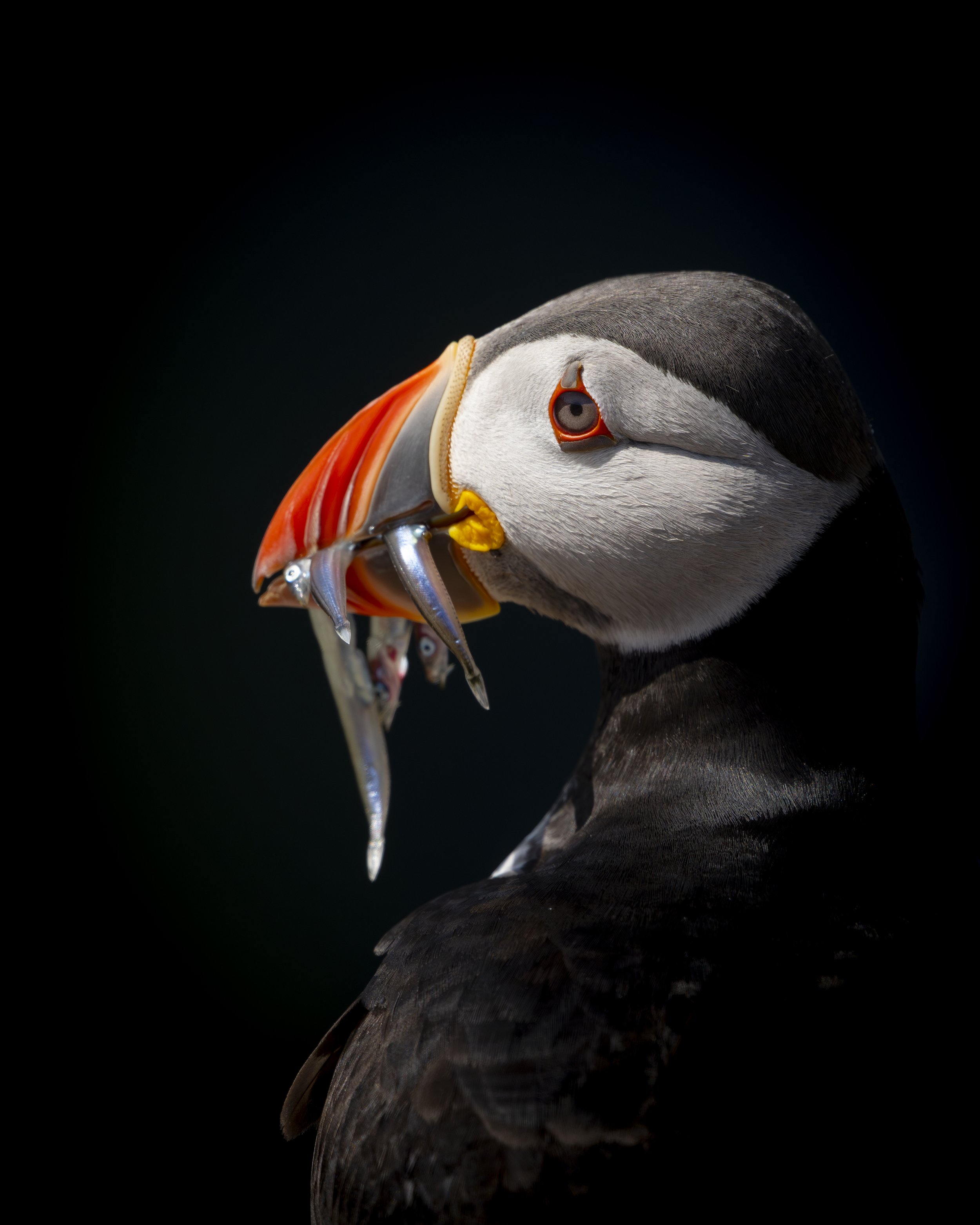 GB Coast 25 (1266).JPG