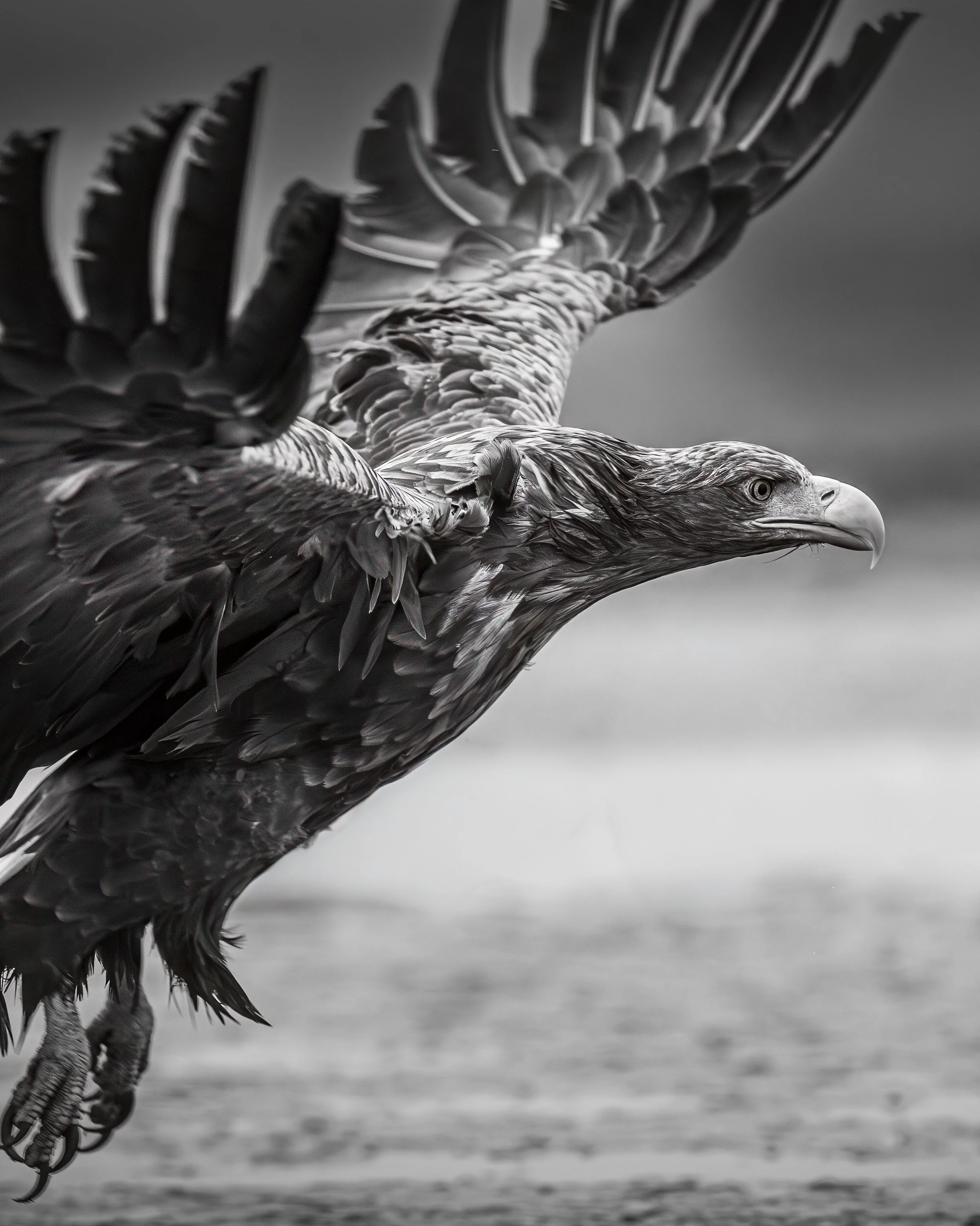 Hungary - Jan 2025  (918)-Enhanced-NR-Edit-Edit.JPG