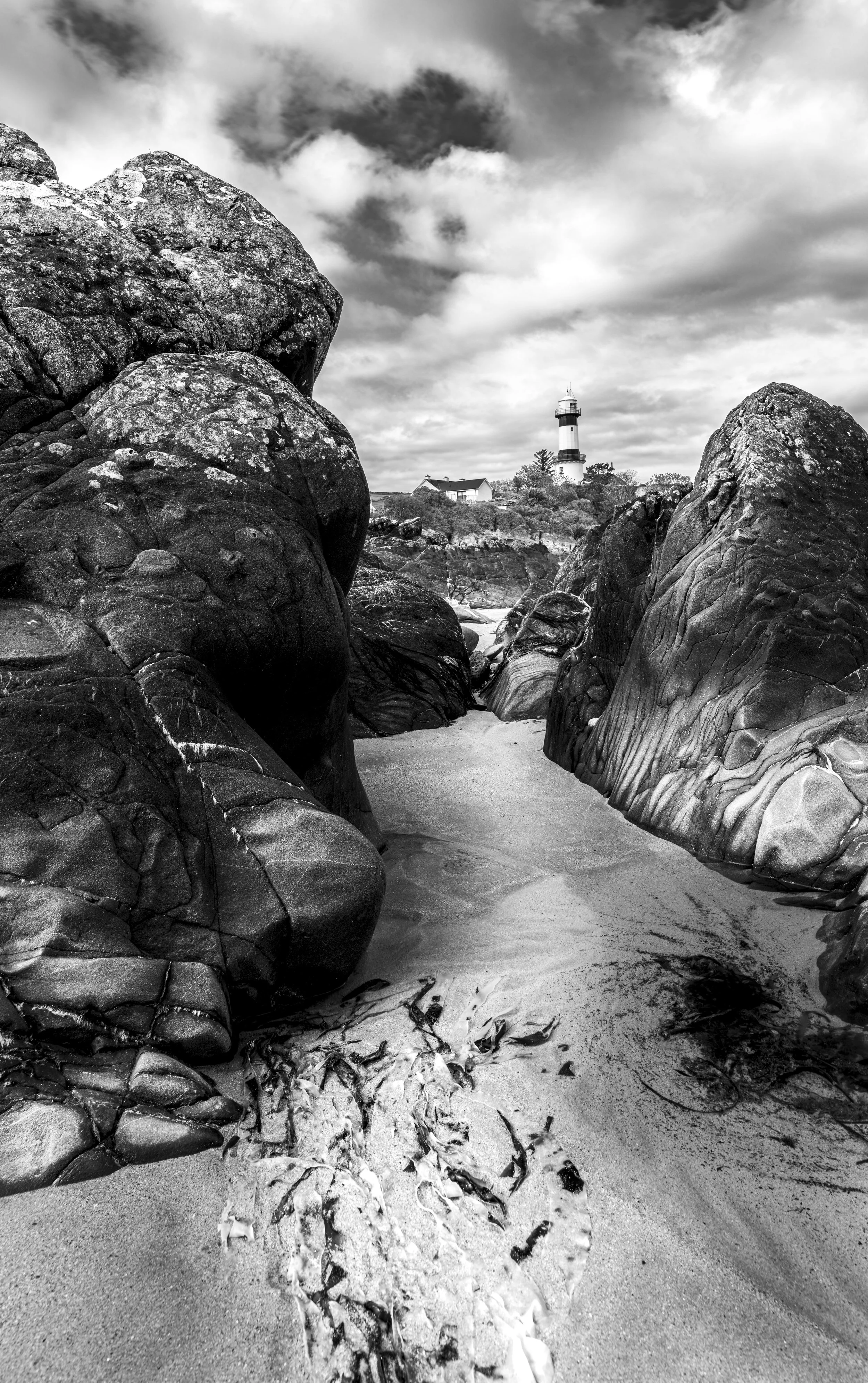 Ireland - Apr 2026 (850)-HDR.JPG