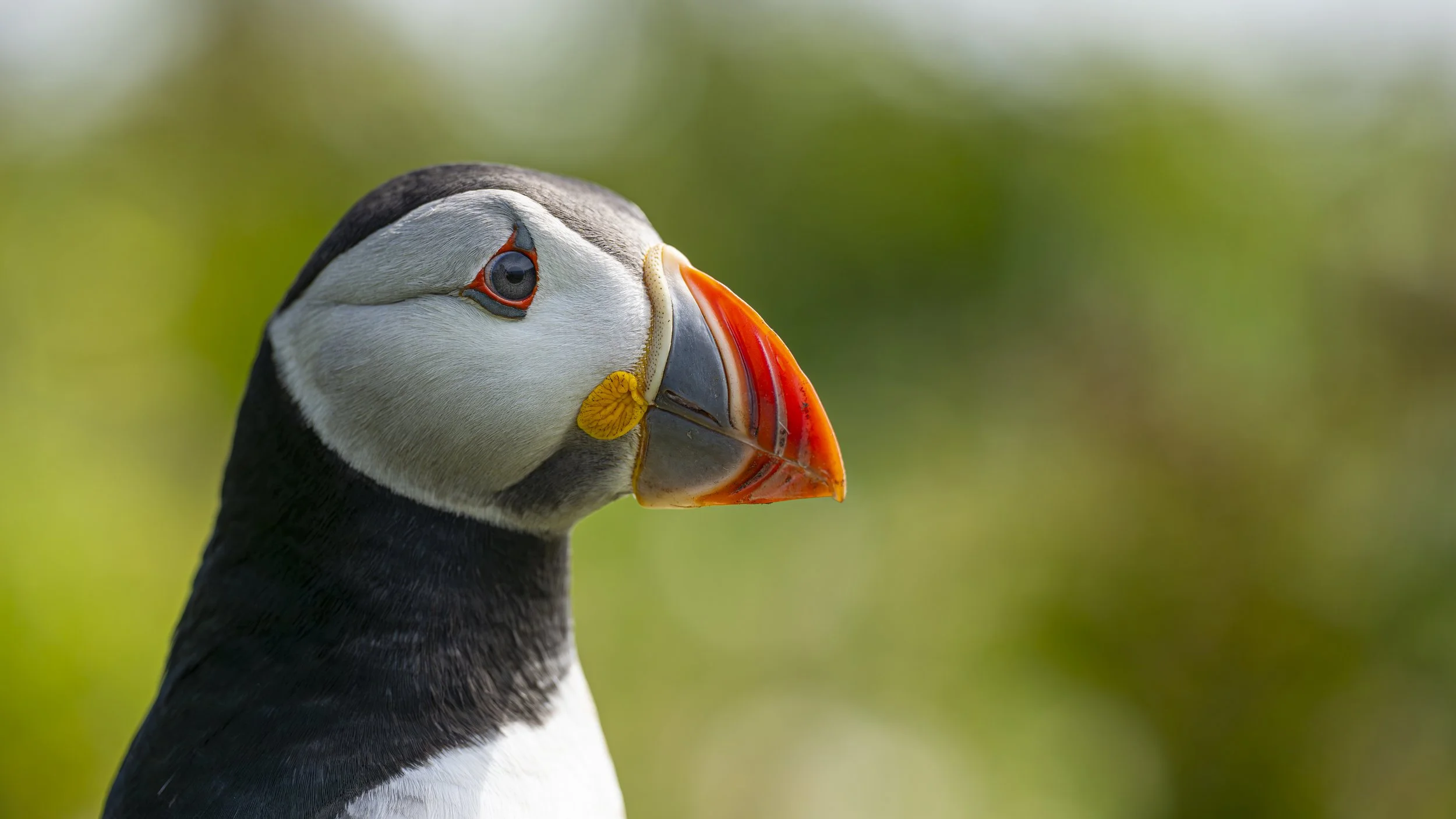 GB Coast 25 (915).JPG