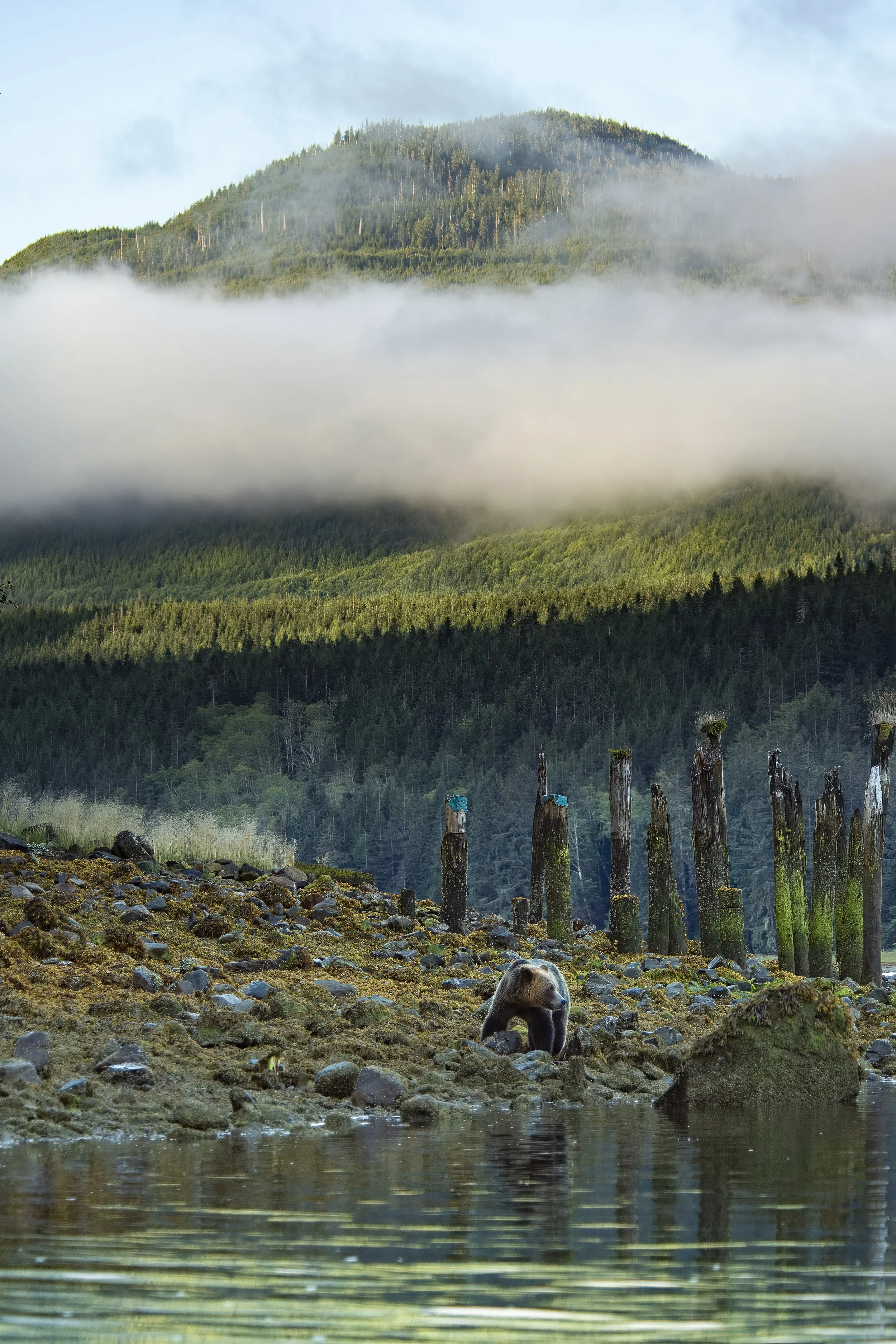 Canada 2017 (1051)-Edit.JPG