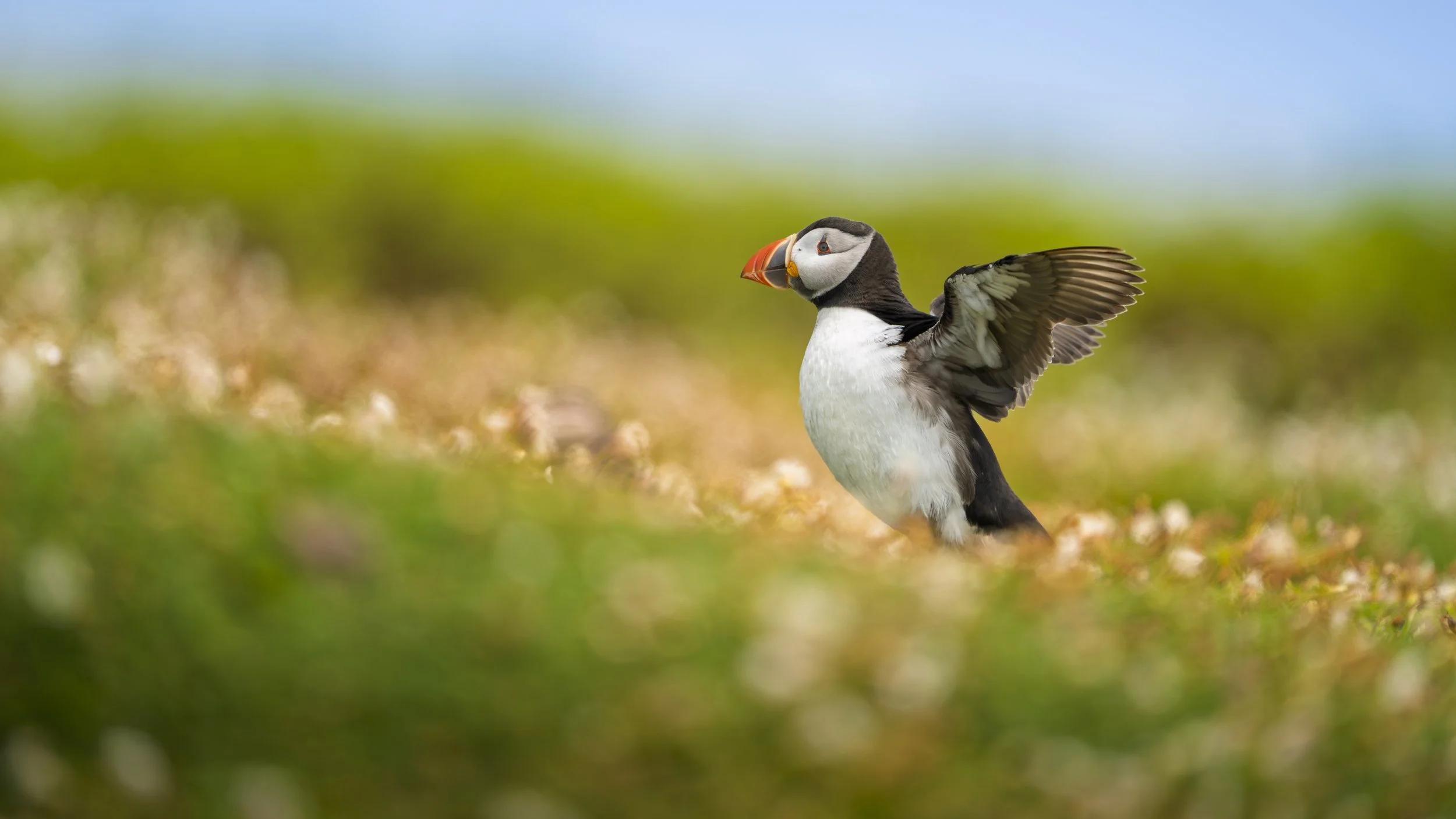 GB Coast 25 (435).JPG