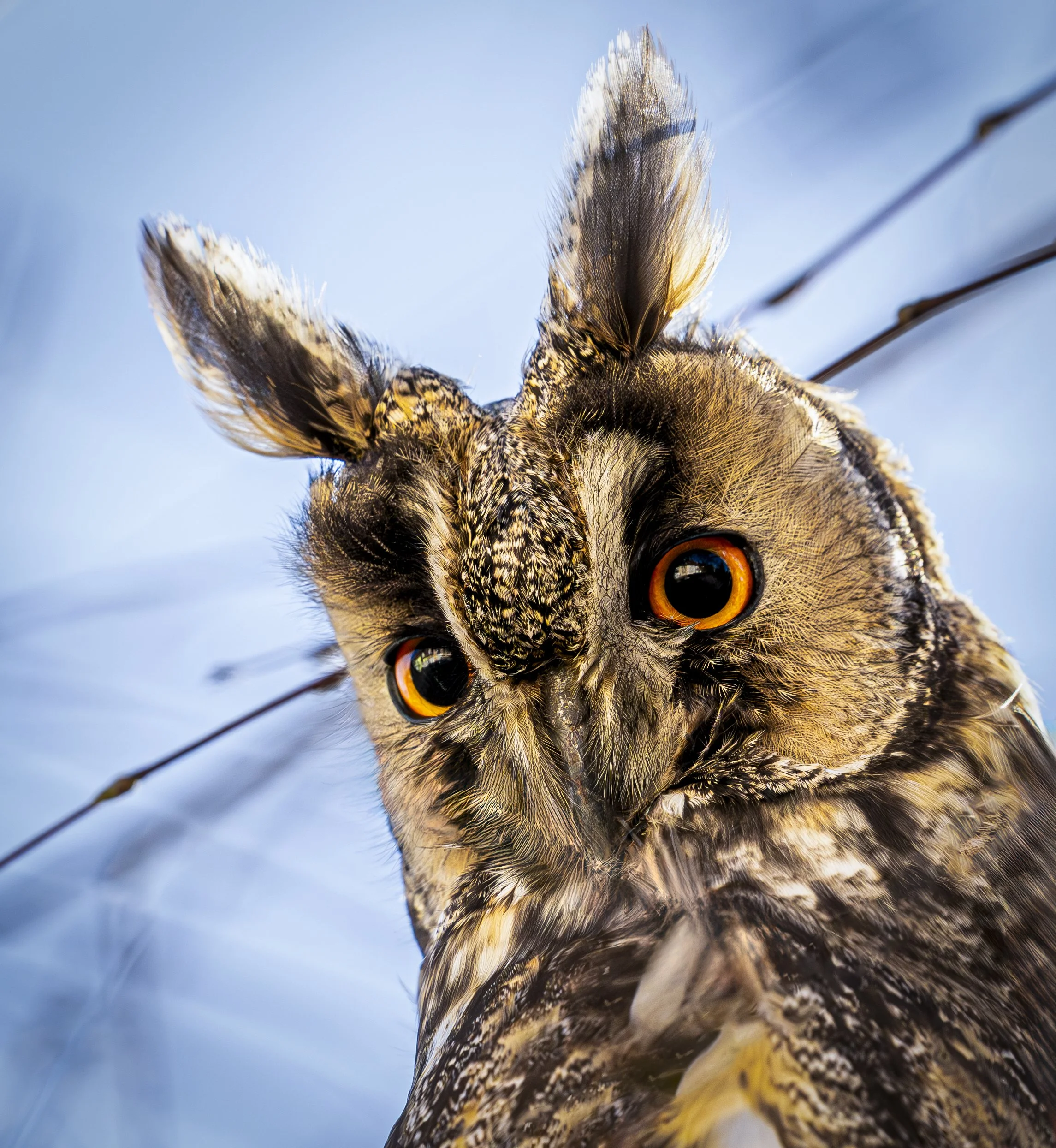 Hungary - Jan 2025  (11893)-Enhanced-NR-Edit-2.jpg