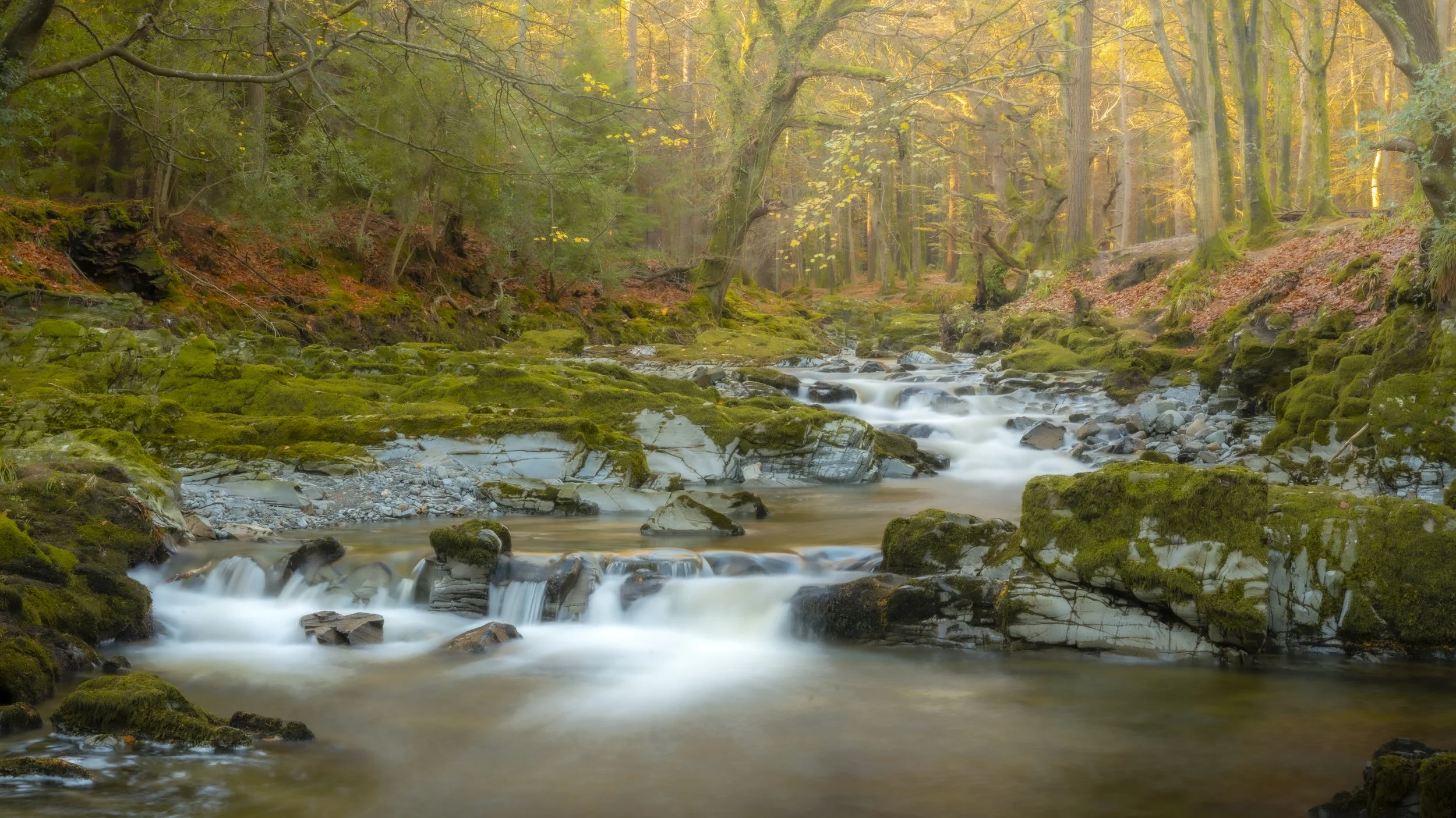 Northern Ireland - Nov 2025 (282).JPG