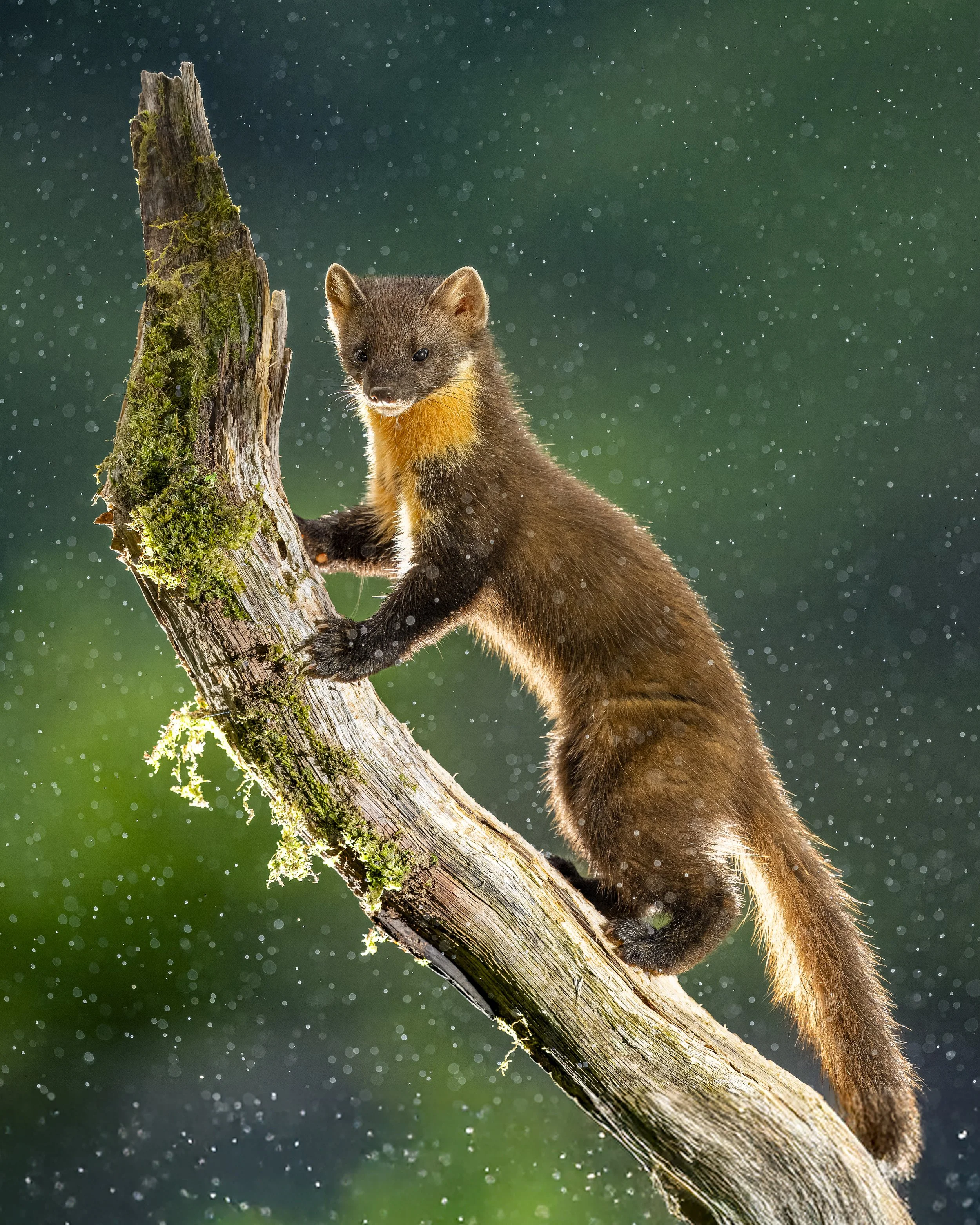 GB Coast 25 (2201)-Edit.JPG