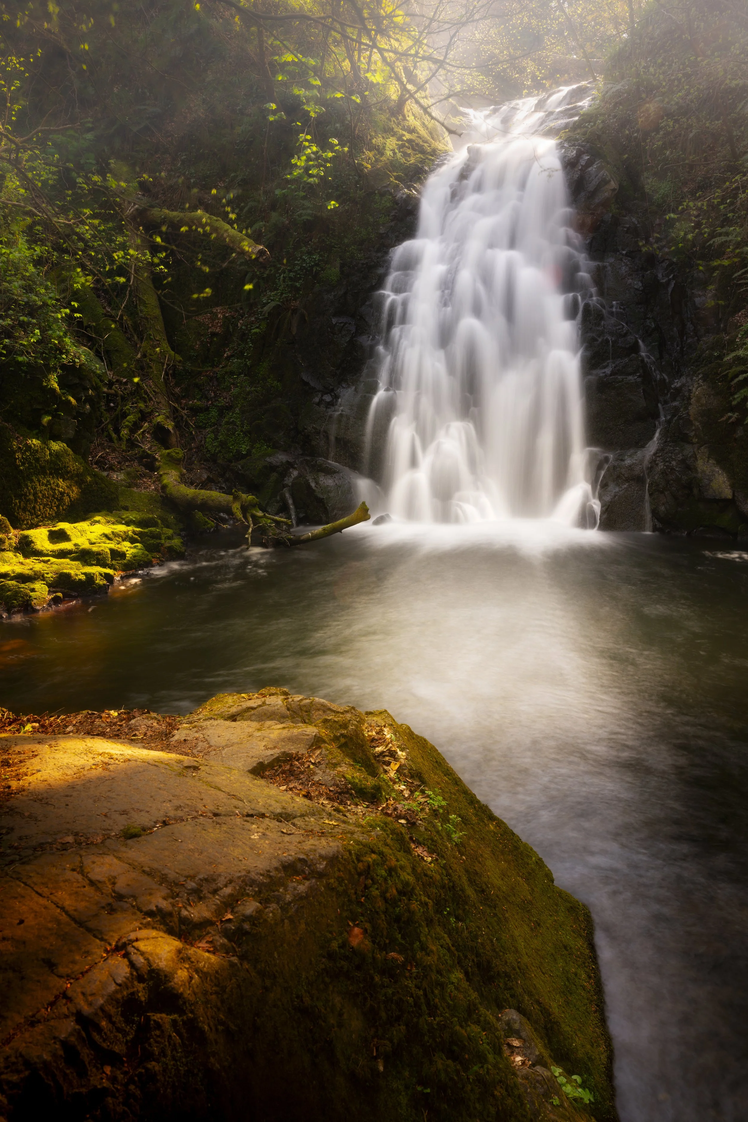 Ireland - Apr 2026 (25)-Edit.JPG