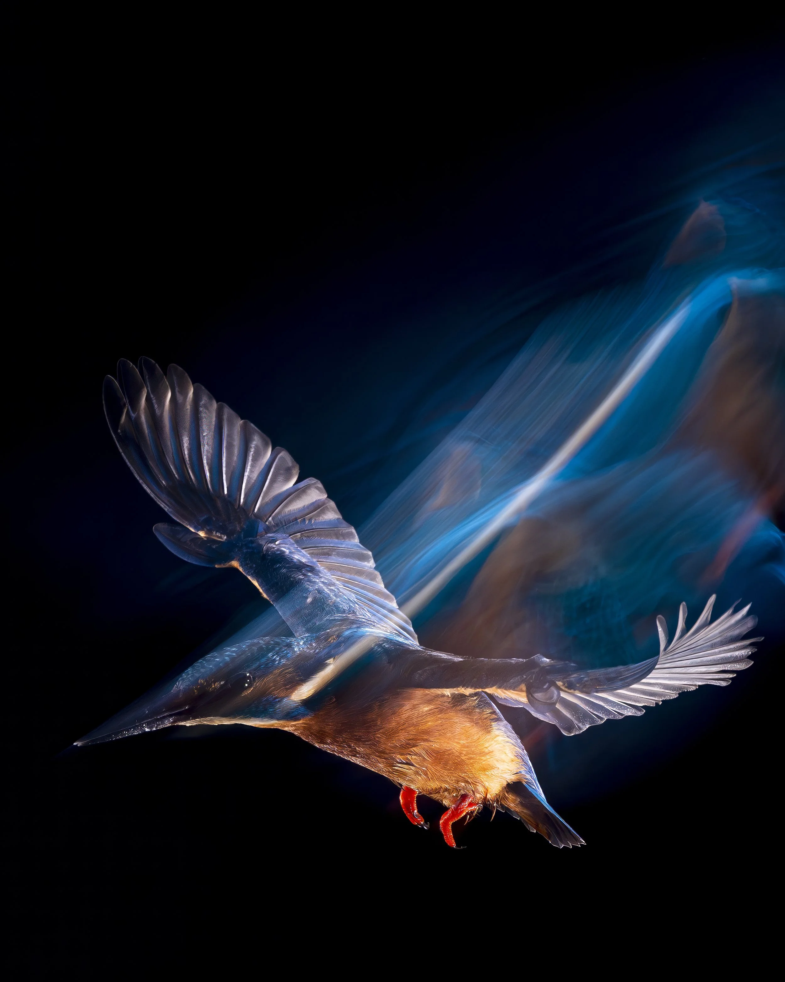 Bourne Hide - Nov 24  (381)-Enhanced-NR-Edit.JPG