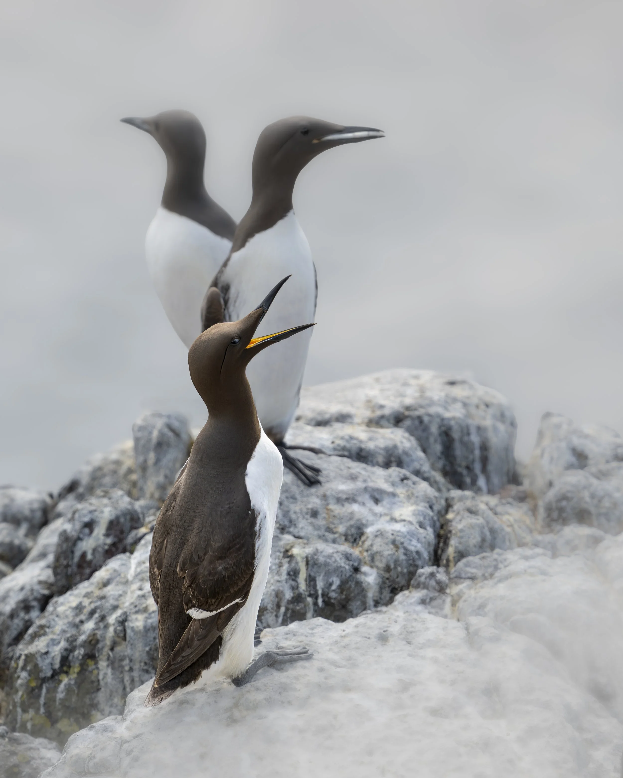 GB Coast 25 (4643)-Edit.JPG