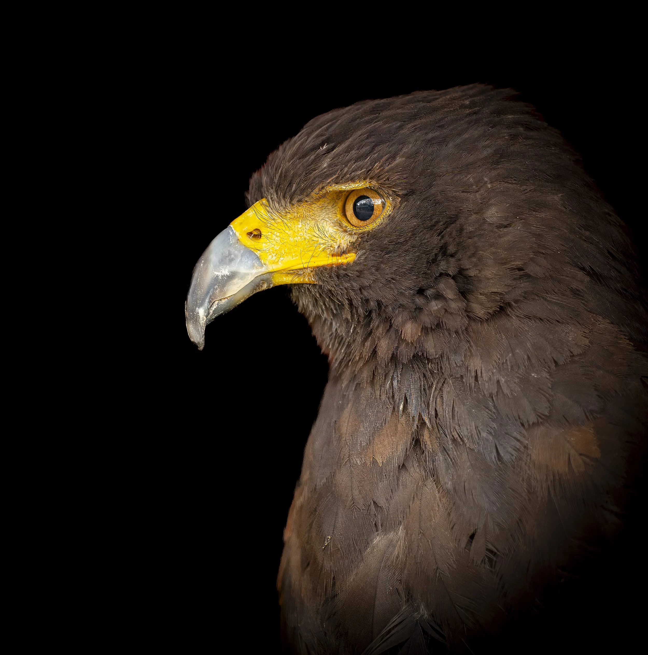 GB Coast 25 (4984).JPG