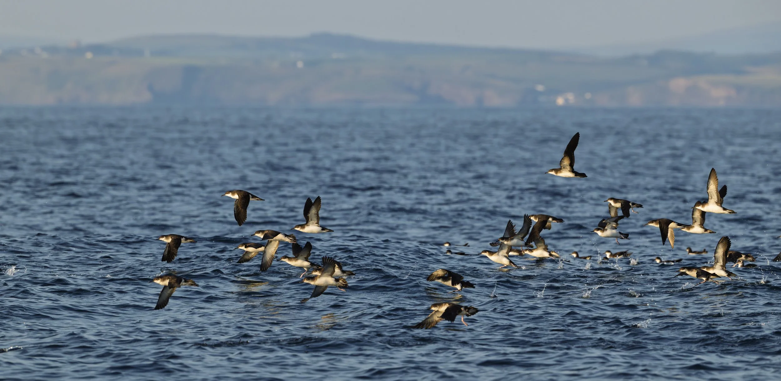 GB Coast 25 (710).JPG