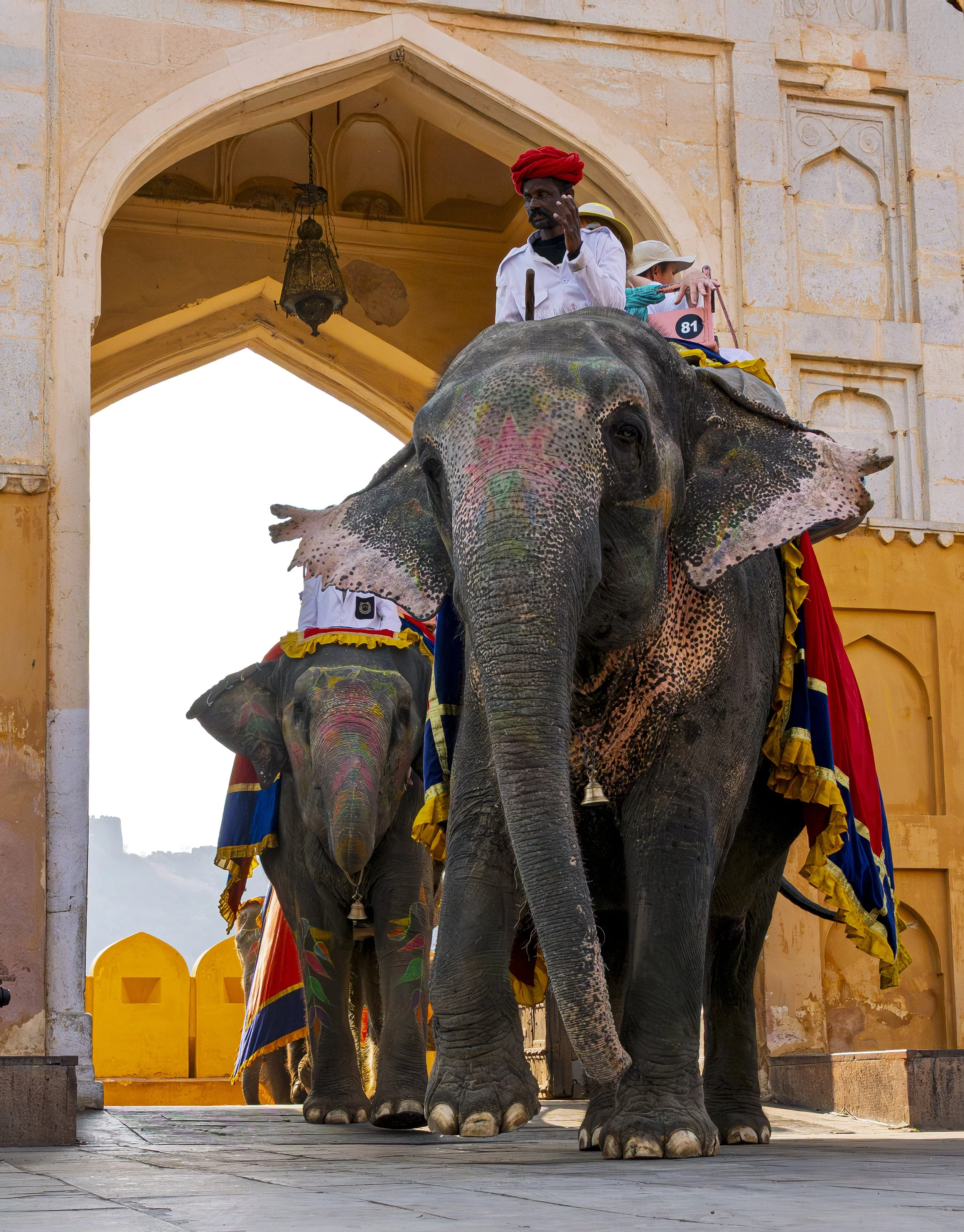 India - March 2025  (1715)-Edit-2.JPG