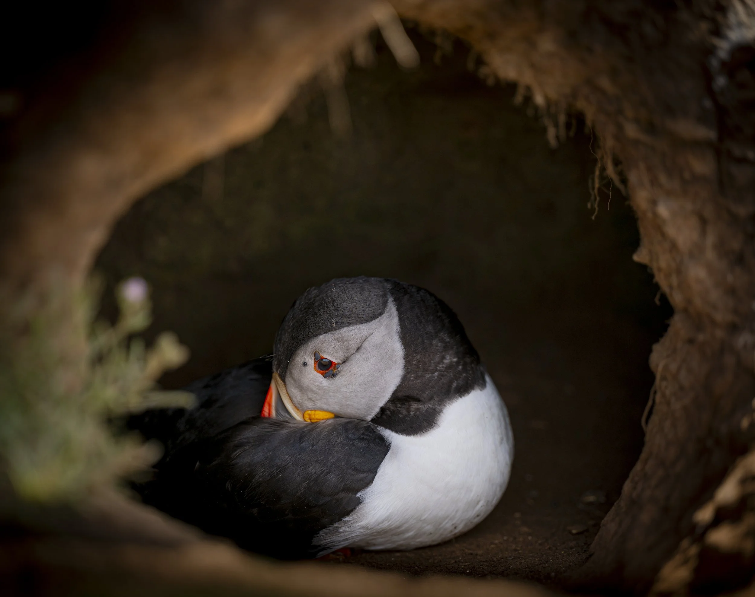 GB Coast 25 (1770).JPG