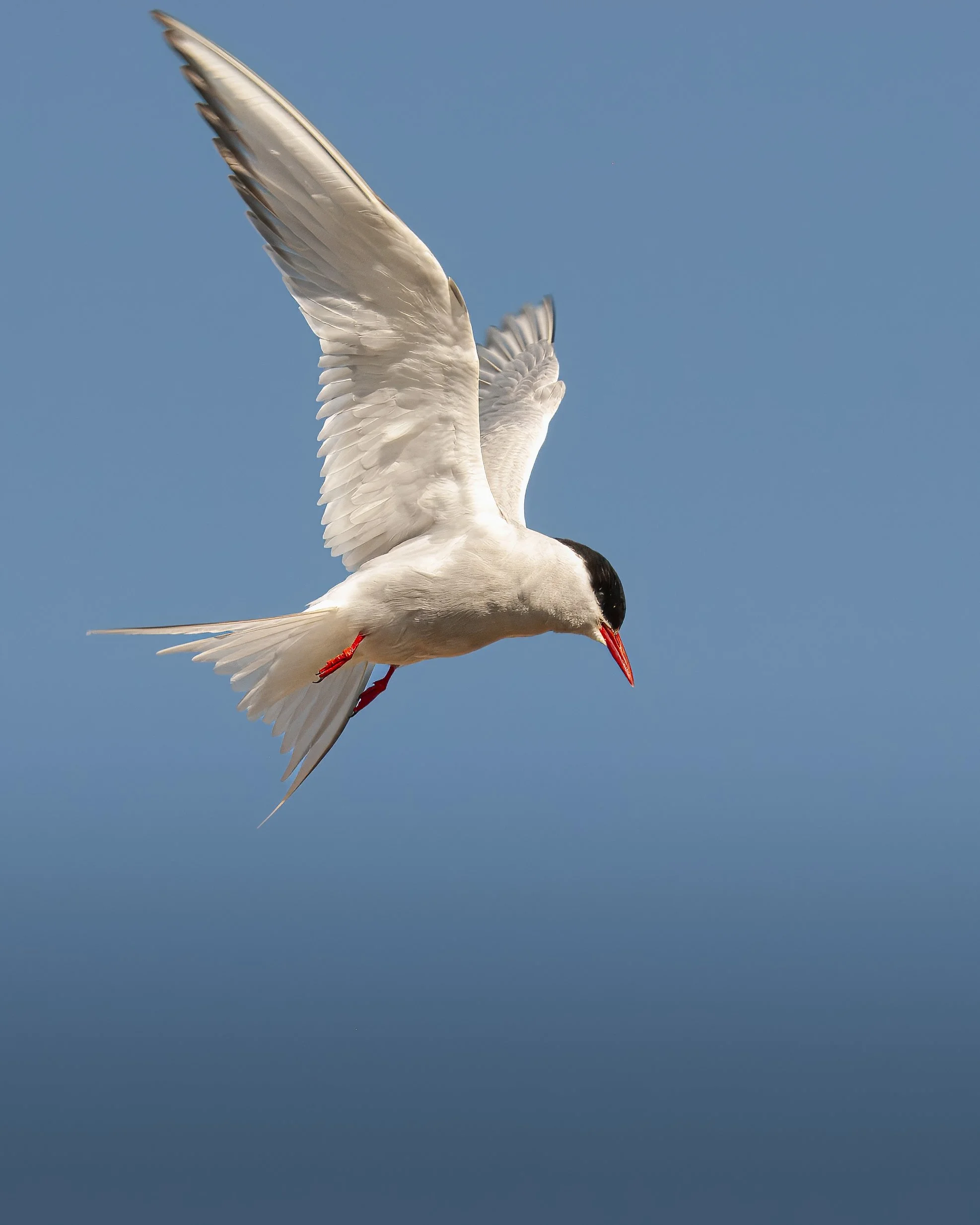 Iceland 2015  (148).JPG