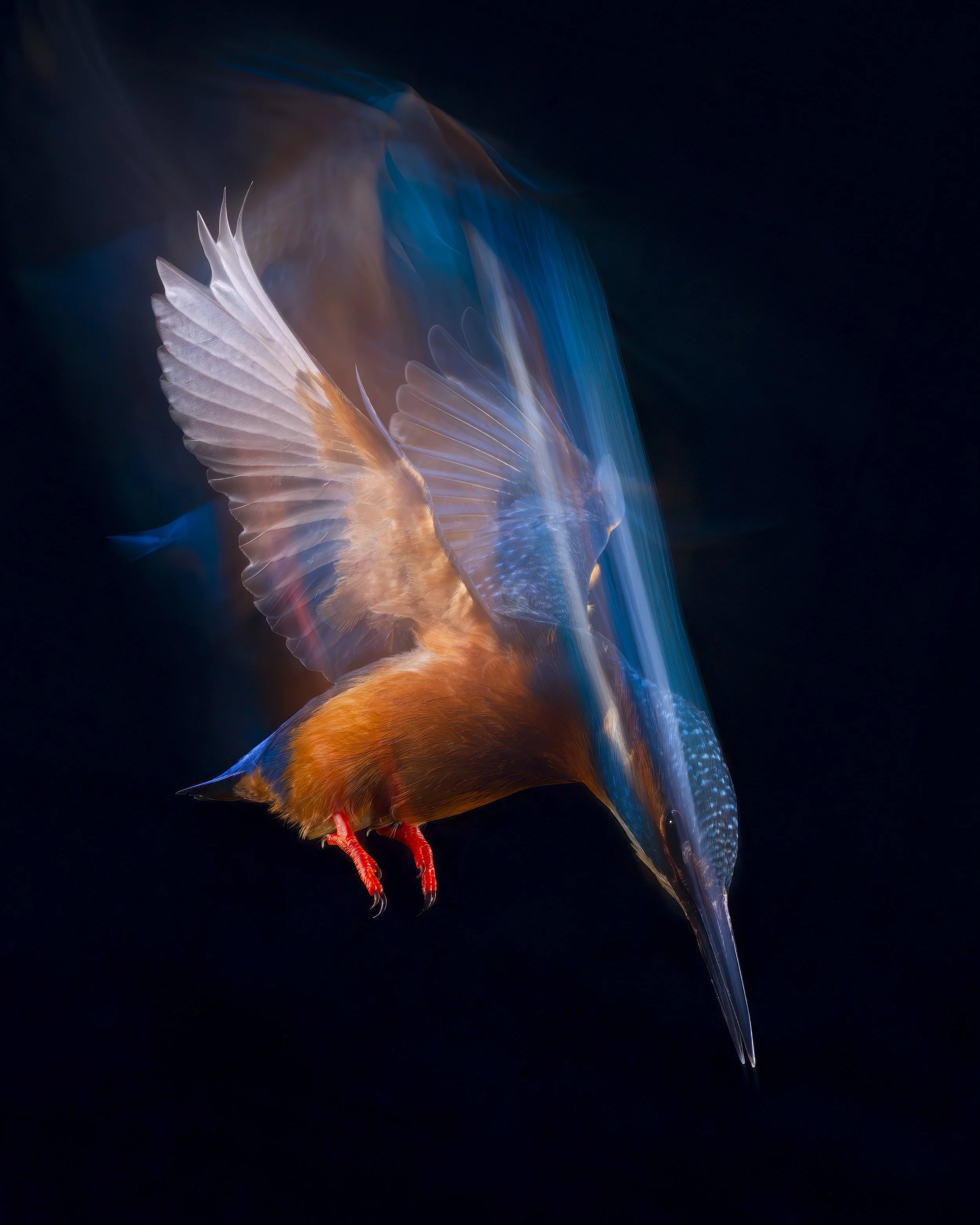 Bourne Hide - Nov 24  (384)-Enhanced-NR-Edit.JPG