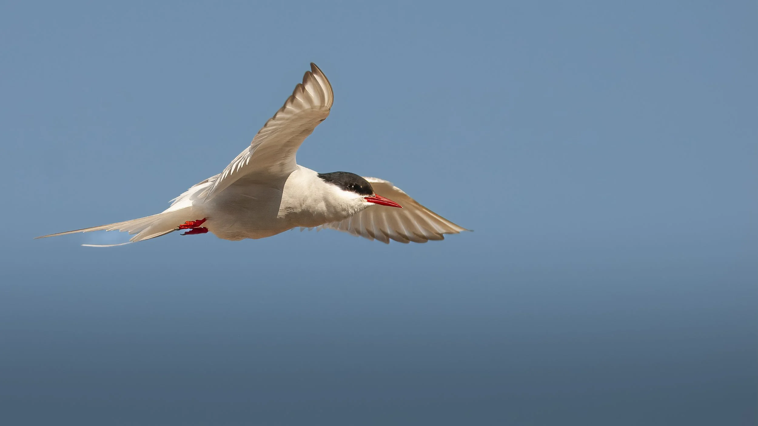 Iceland 2015  (157).JPG