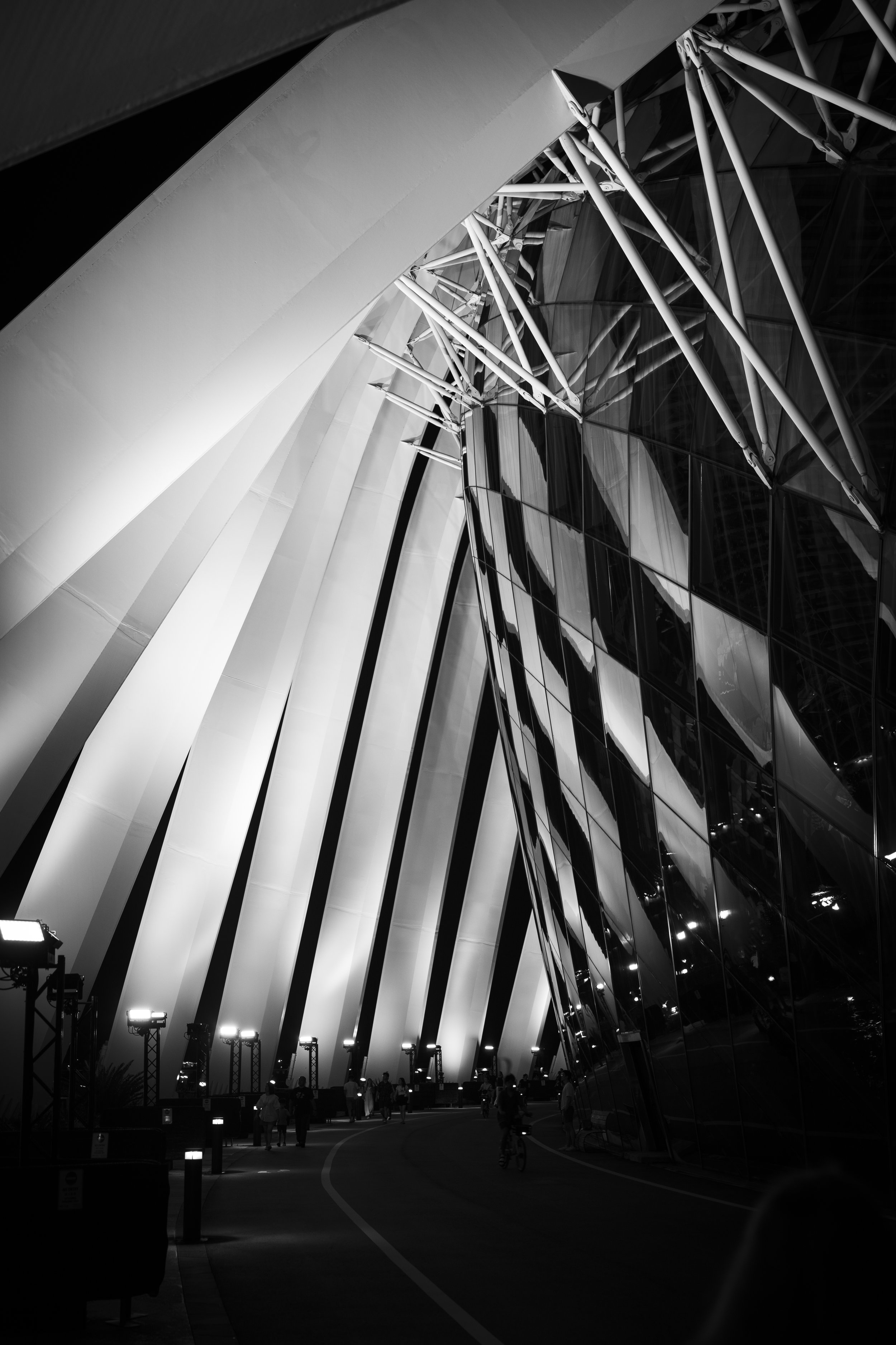 Sing & Borneo  (95).jpg