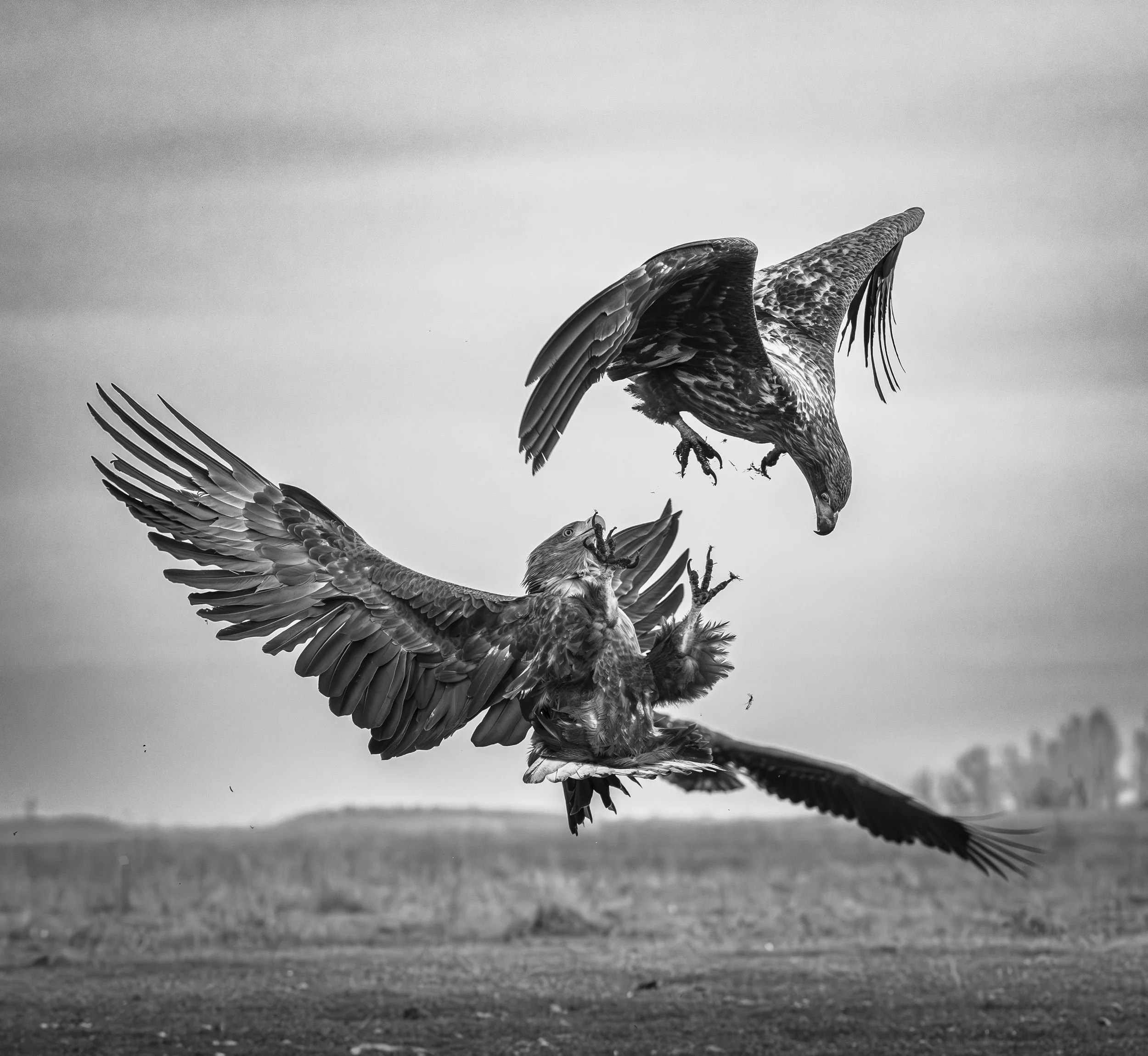 Hungary - Jan 2025  (4740)-Enhanced-NR-Edit.jpg