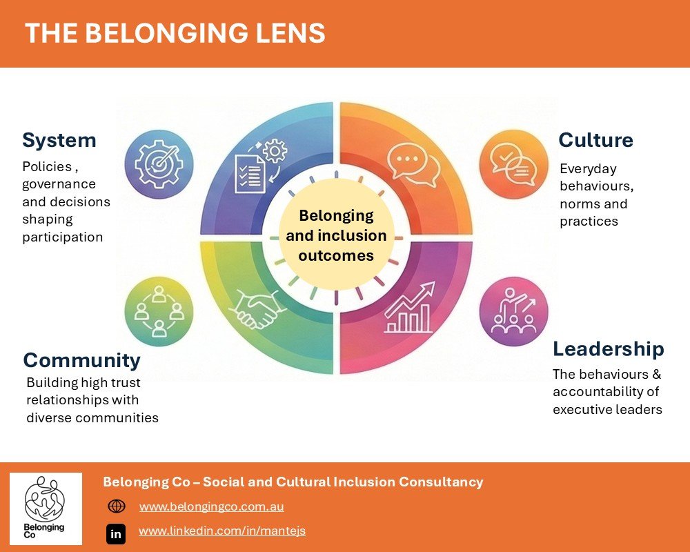Graphic illustration analysis of systems, culture, leadership and community to diagnose barriers and opportunities to belonging.