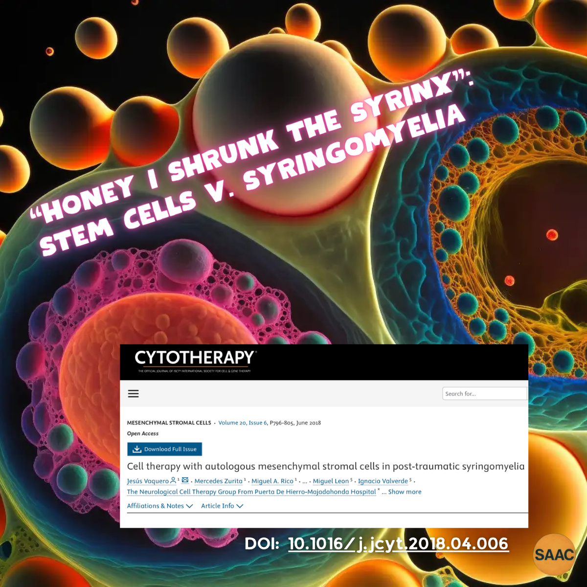 STEM CELLS VS SYRINX #2