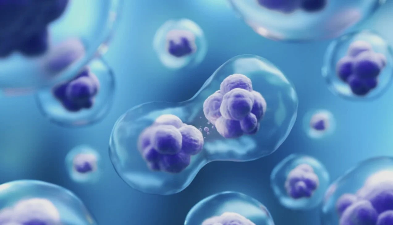 The Future of Healing Is Cellular