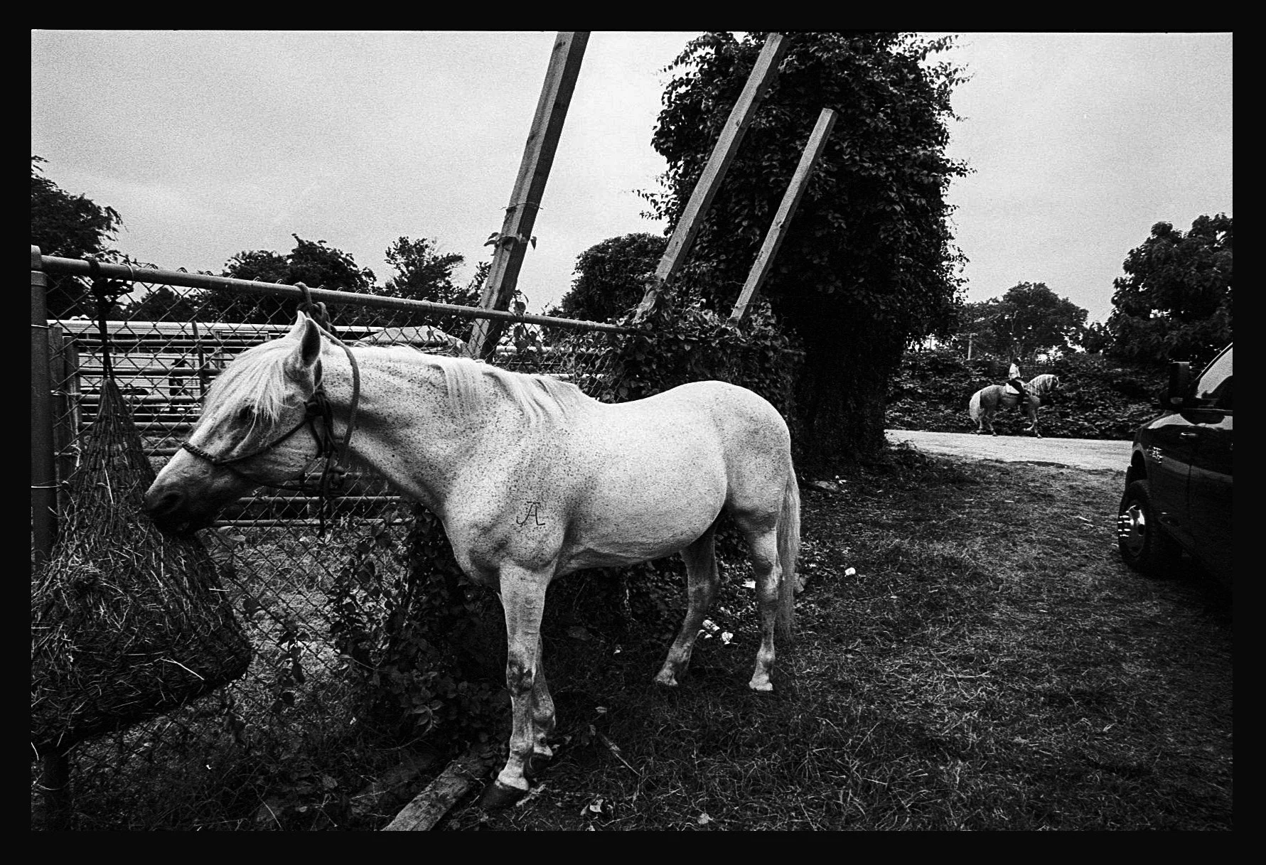 july_2025 (48) copy.jpg