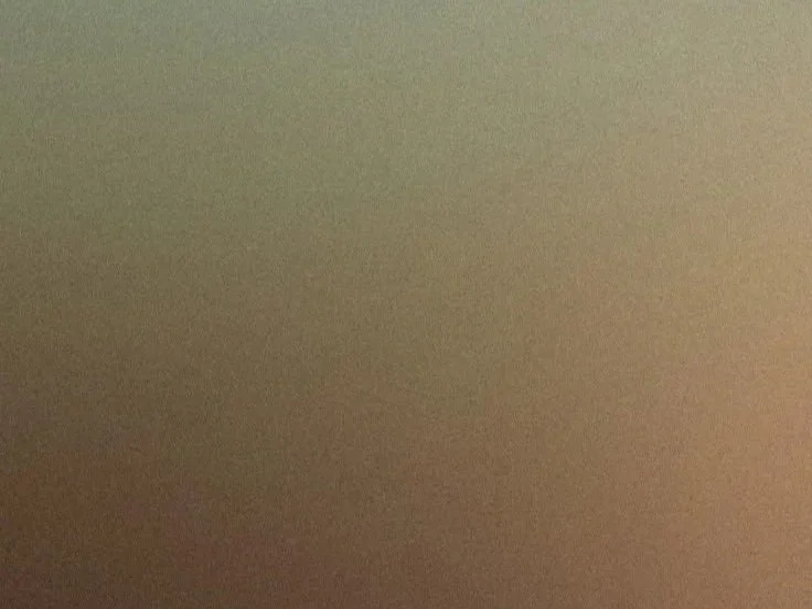 A blurry, pixelated image with no clear objects or details visible.