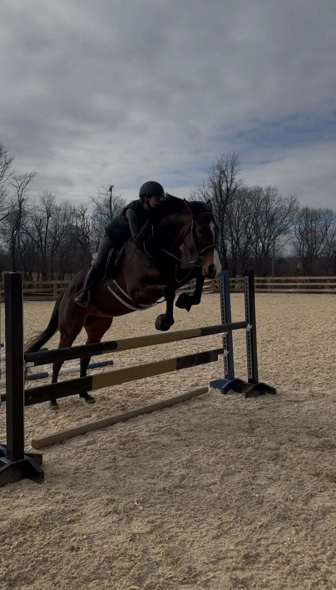 A person riding a brown horse over a jump in an outdoor riding arena. The rider is wearing a black helmet and riding gear, and the sky is cloudy with leafless trees in the background.
