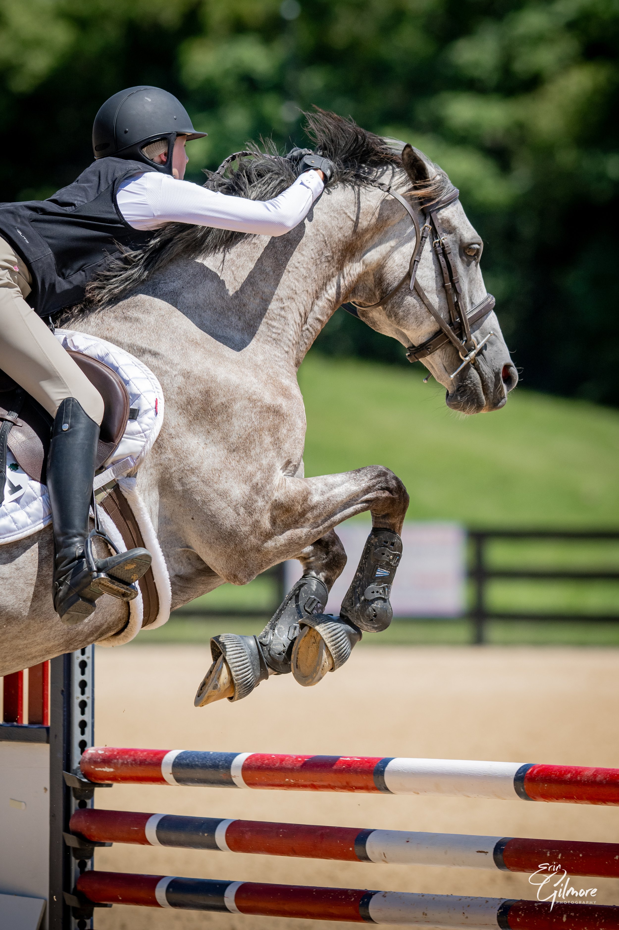 A rider on a grey horse jumping over an obstacle during a horse show or competition.