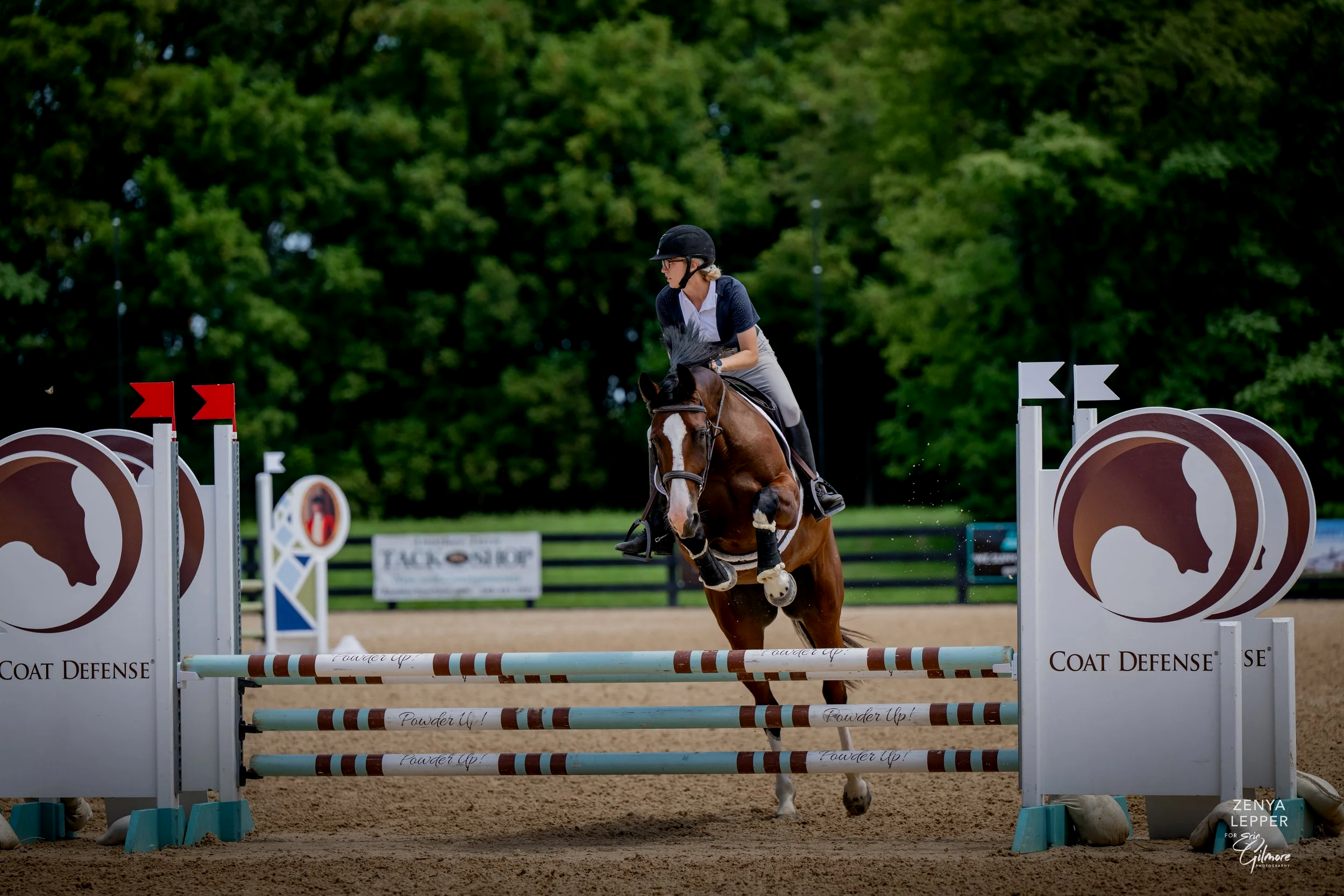 A female equestrian rider in a black helmet, navy shirt, white pants, and black riding boots jumping a chestnut horse over a striped obstacle at an outdoor show jumping arena with green trees in the background.
