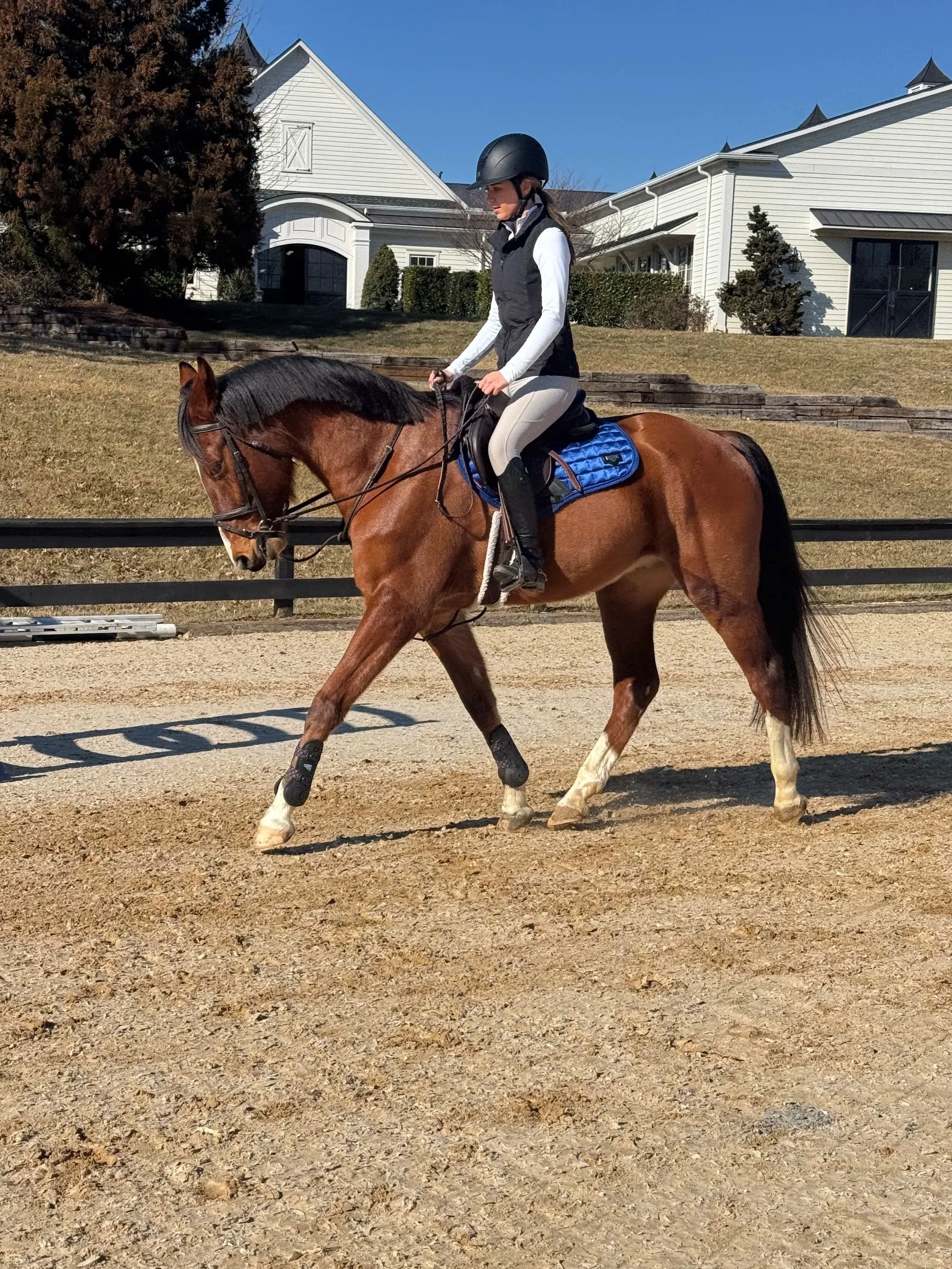 A woman riding a brown horse on a riding arena outdoors with a clear blue sky and white house in the background.