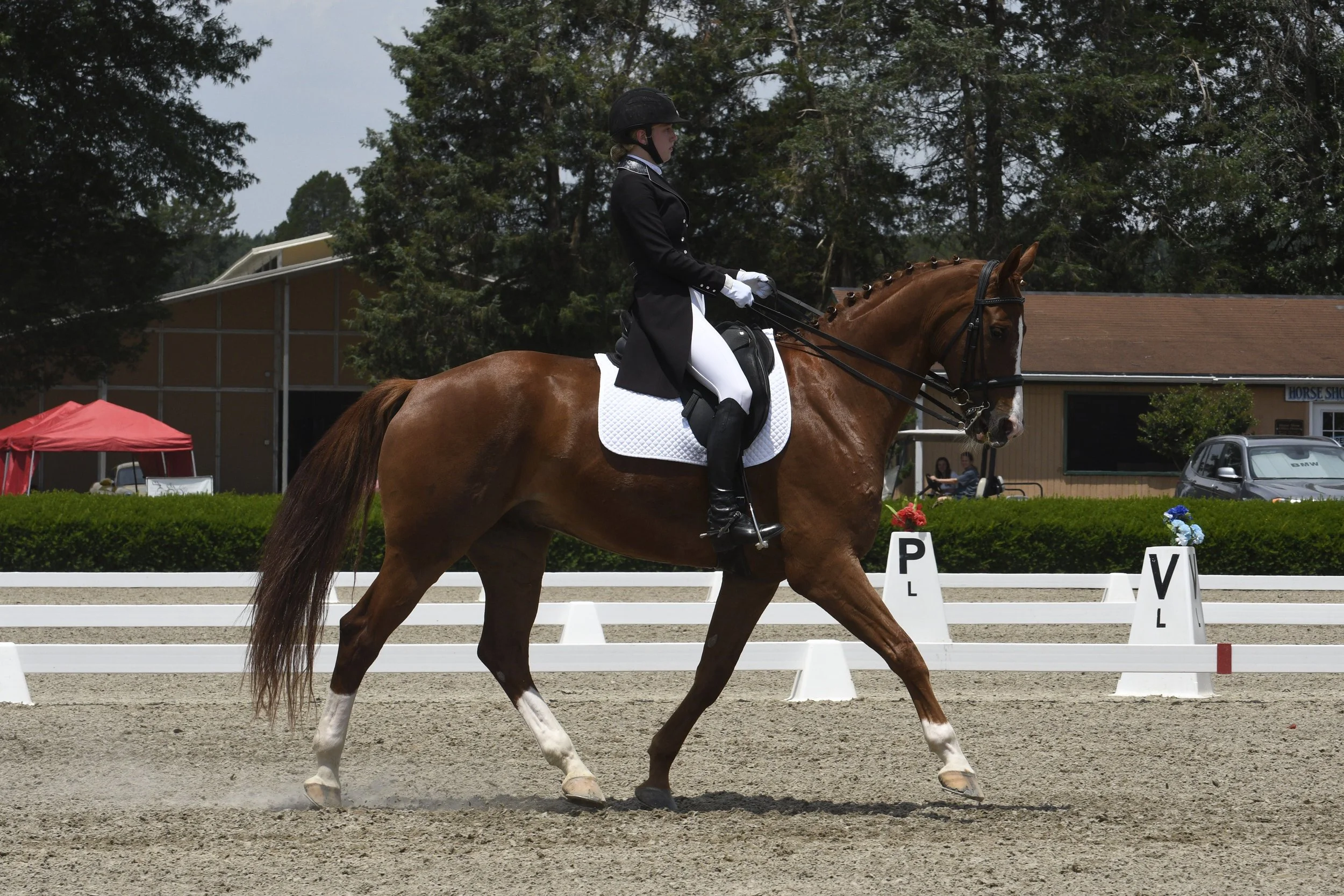 A rider in formal dressage attire riding a chestnut horse with white markings in an outdoor dressage arena during a competition.