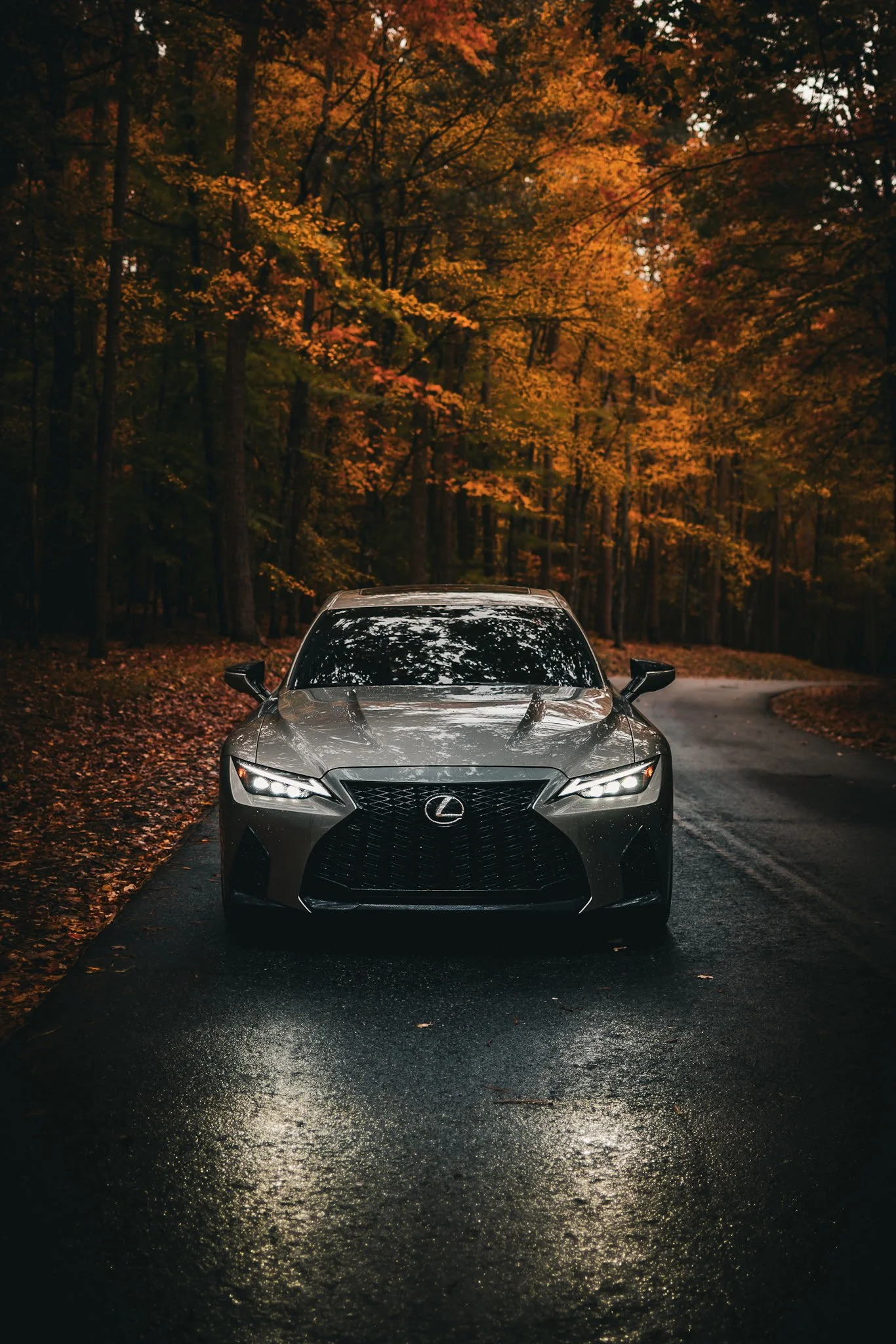 CC Ceramic + / 1 Year Protection