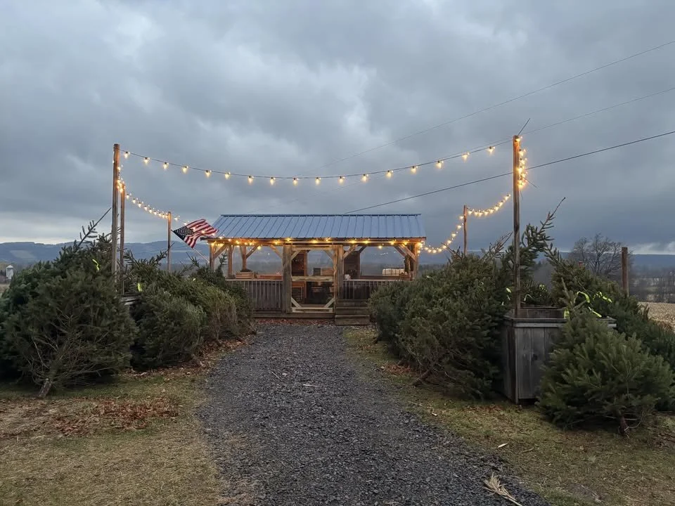 A rustic outdoor gathering area with a wooden pavilion, decorated with string lights and flags, surrounded by bushes, under a cloudy sky.