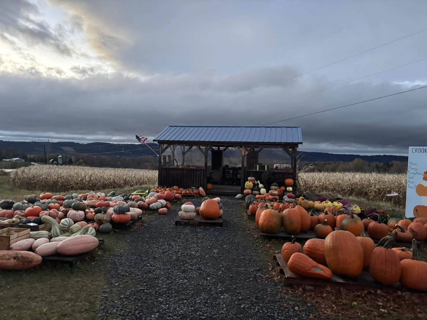 Pumpkins of various sizes and colors are displayed outside a small wooden pumpkin stand, with a sign asking how many pumpkins tall you are, and an American flag flying nearby. The scene is set on a farm with a field of corn and rolling hills in the background under a cloudy sky.
