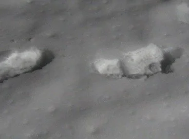 Footprints in the snow.