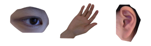 Close-up of a human eye, hand with a pen, and a human ear.