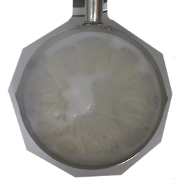 A close-up of a round flask filled with a clear liquid and a cloudy, white precipitate.