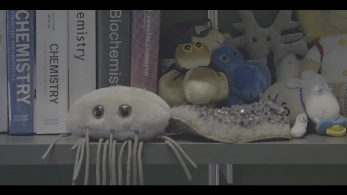 Collection of handmade plush toys and figurines, including an octopus with button eyes, on a bookshelf with science textbooks.