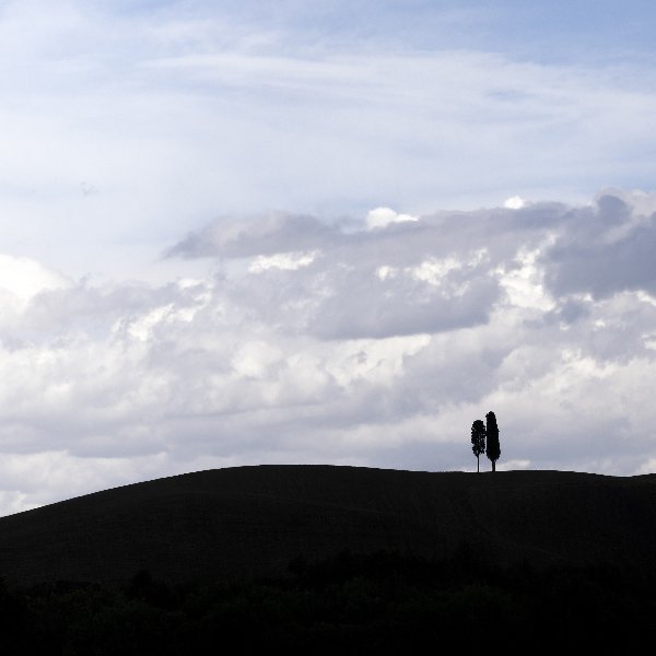 ROADTRIP- (4 van 33).jpg