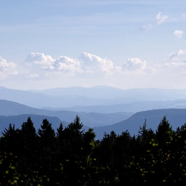 ROADTRIP- (6 van 33).jpg