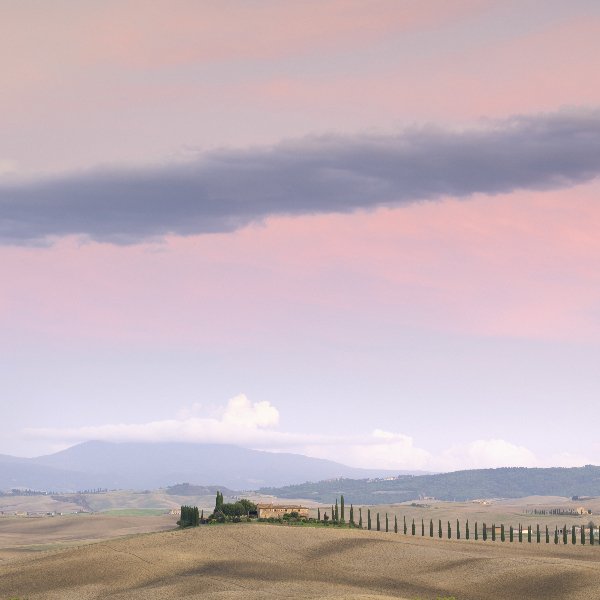 ROADTRIP- (21 van 33).jpg